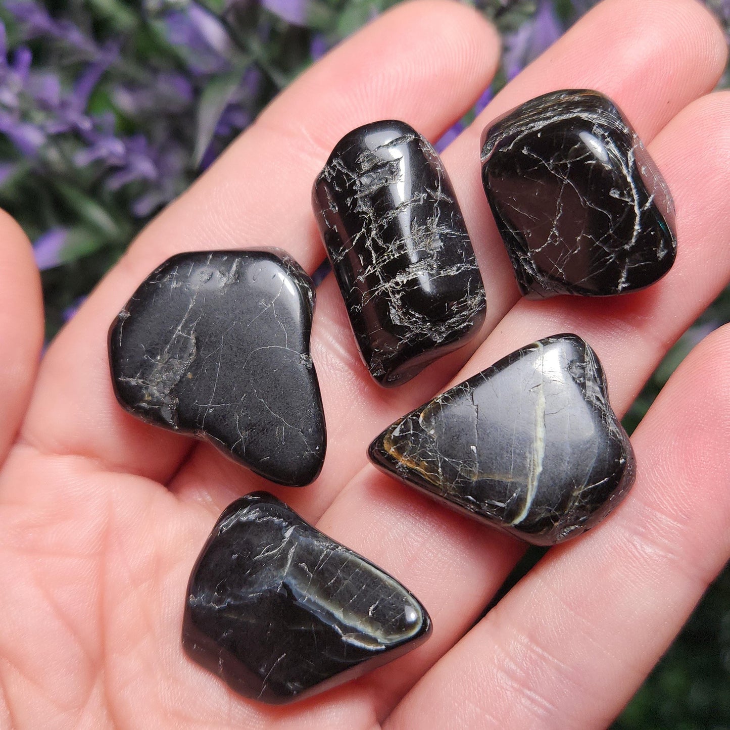Black Tourmaline Crystal