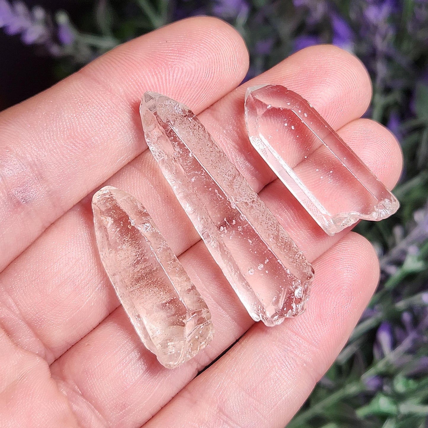 Lemurian Quartz