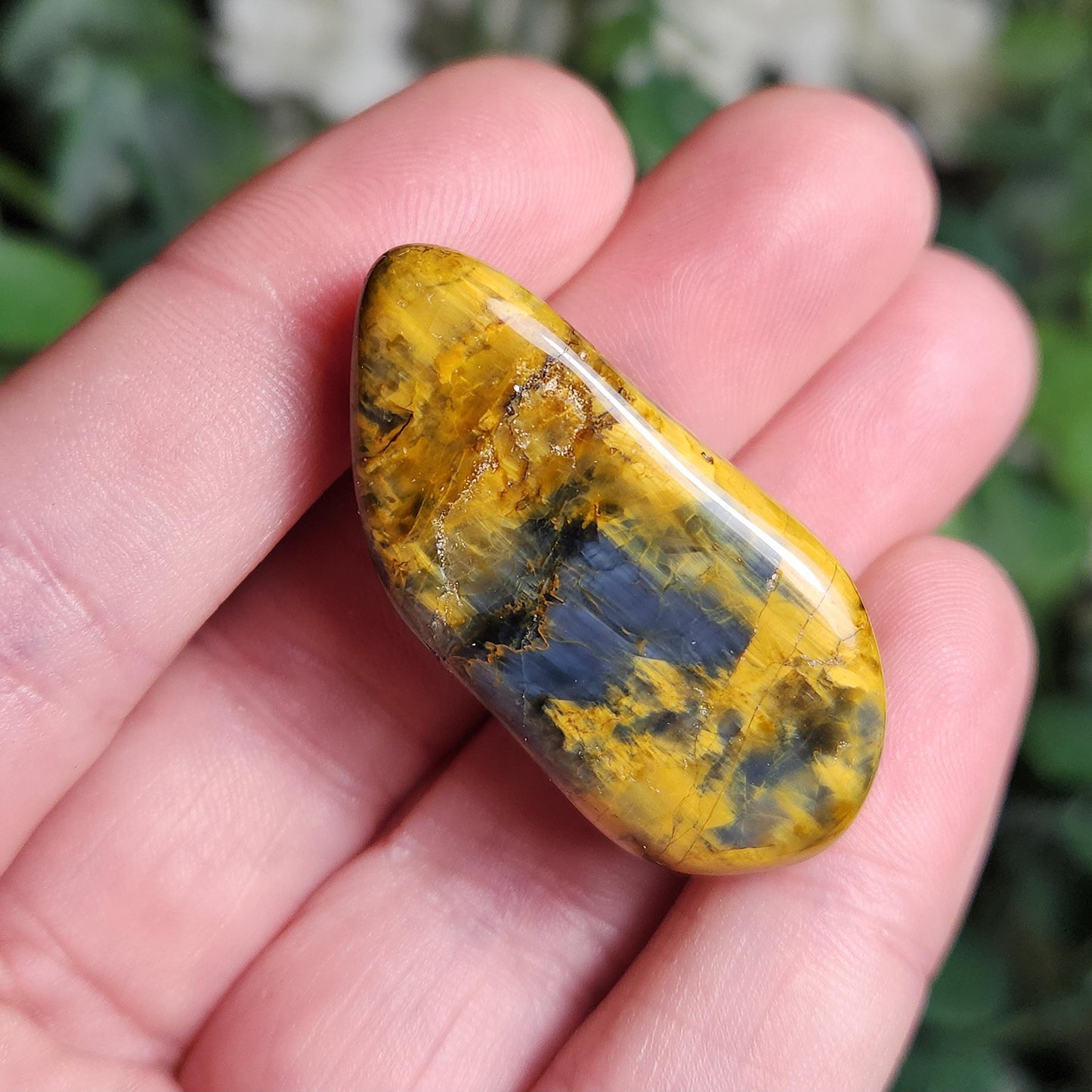 Pietersite & Tiger's Eye