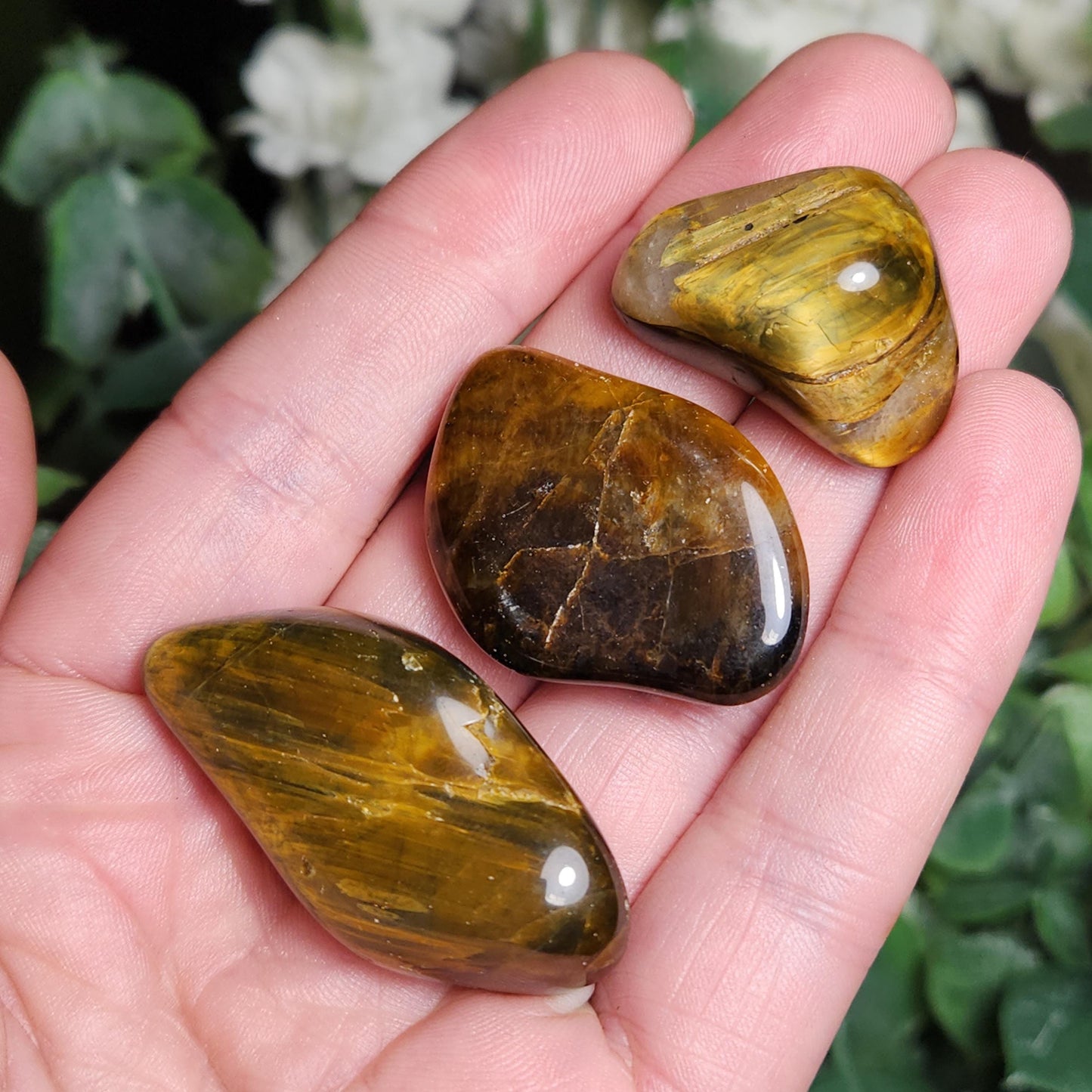Pietersite & Tiger's Eye