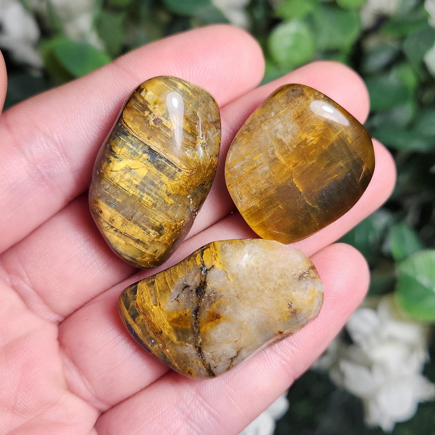 Pietersite & Tiger's Eye