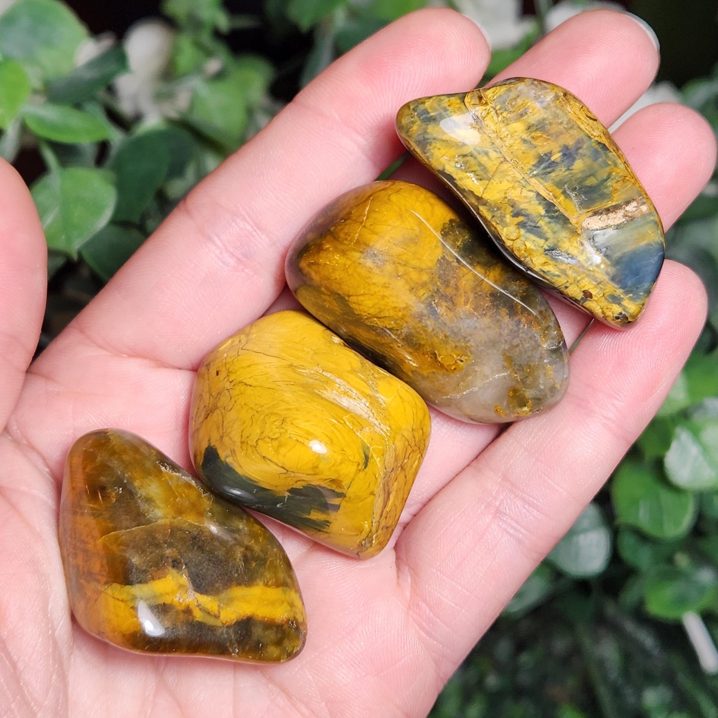 Pietersite & Tiger's Eye