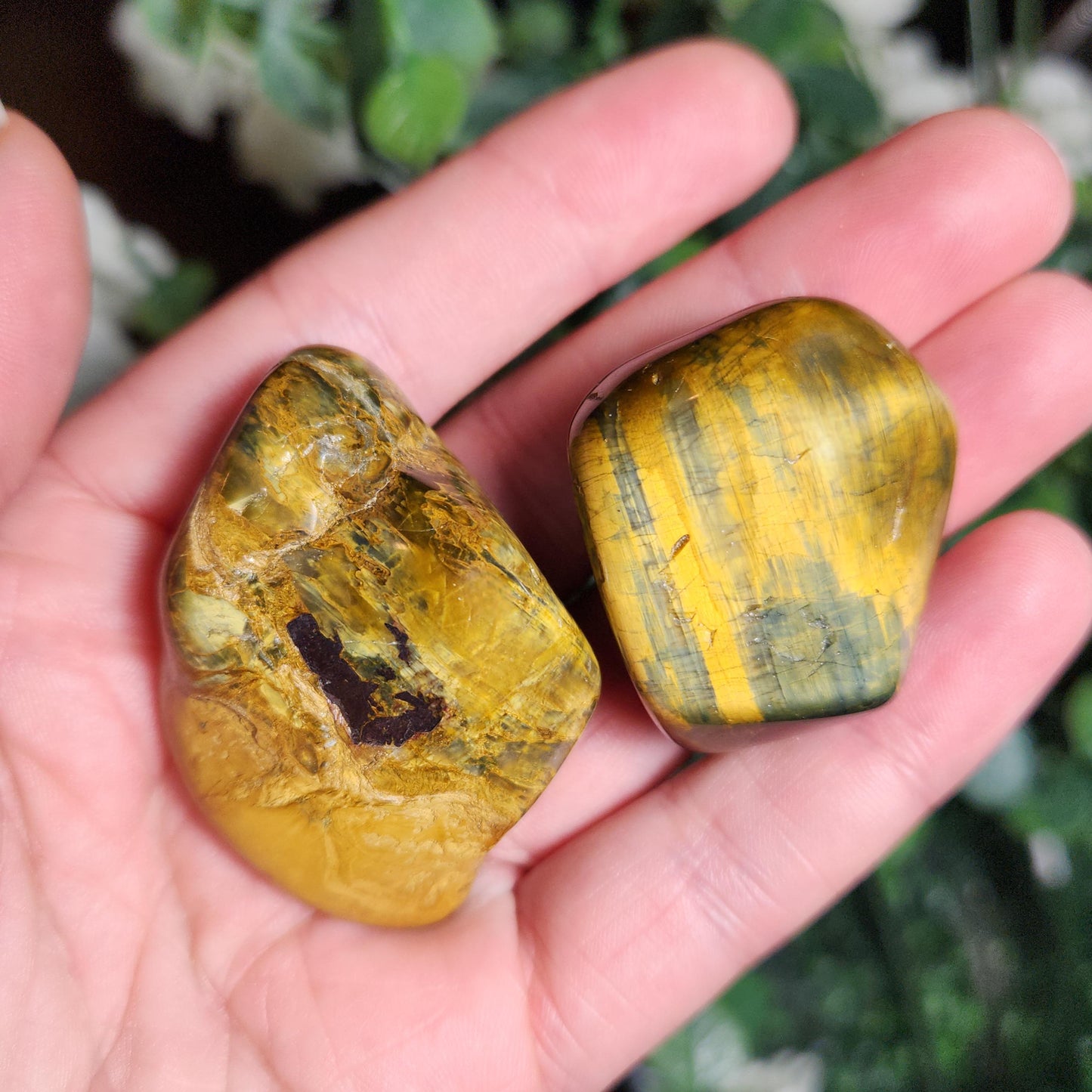 Pietersite & Tiger's Eye