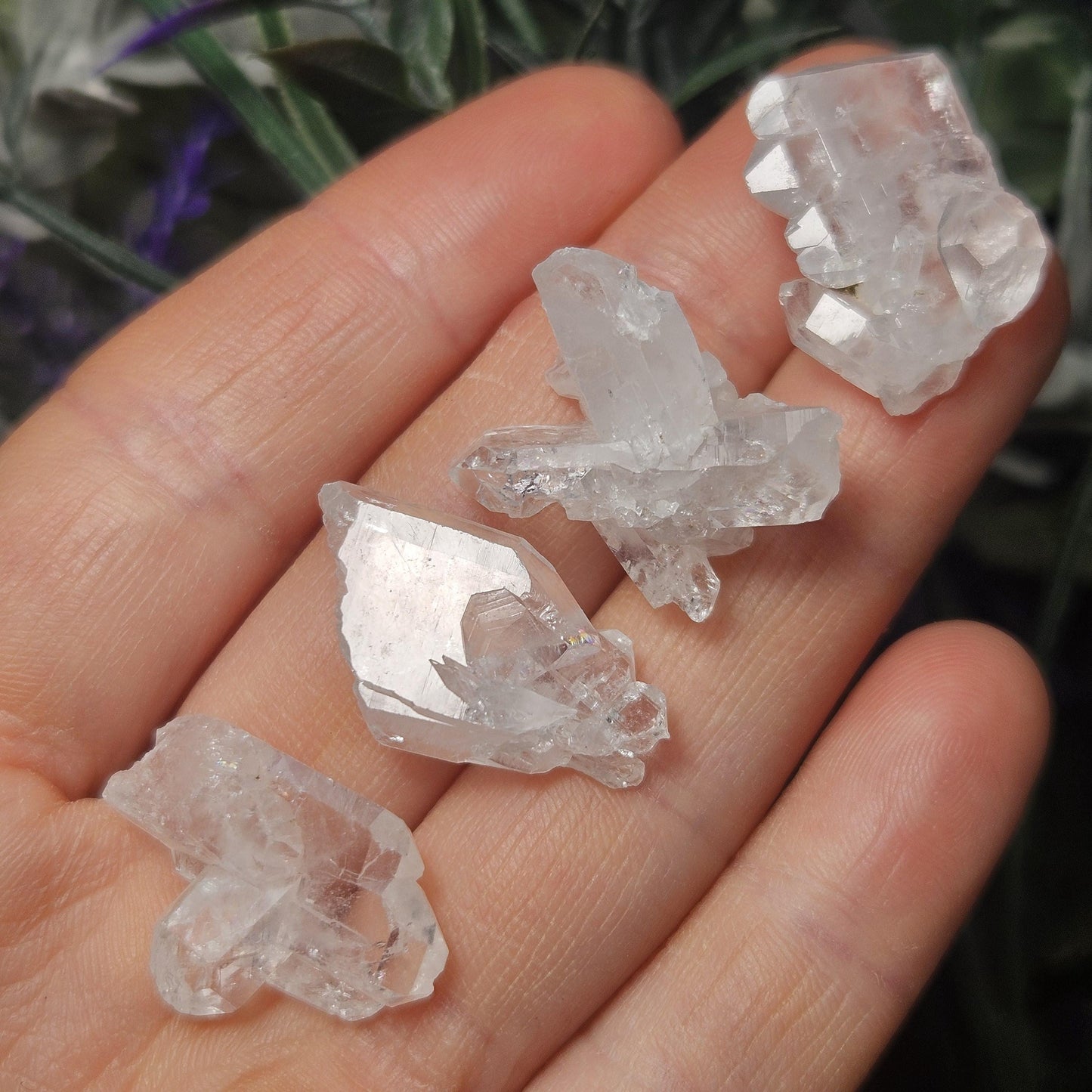 Faden Quartz Crystal