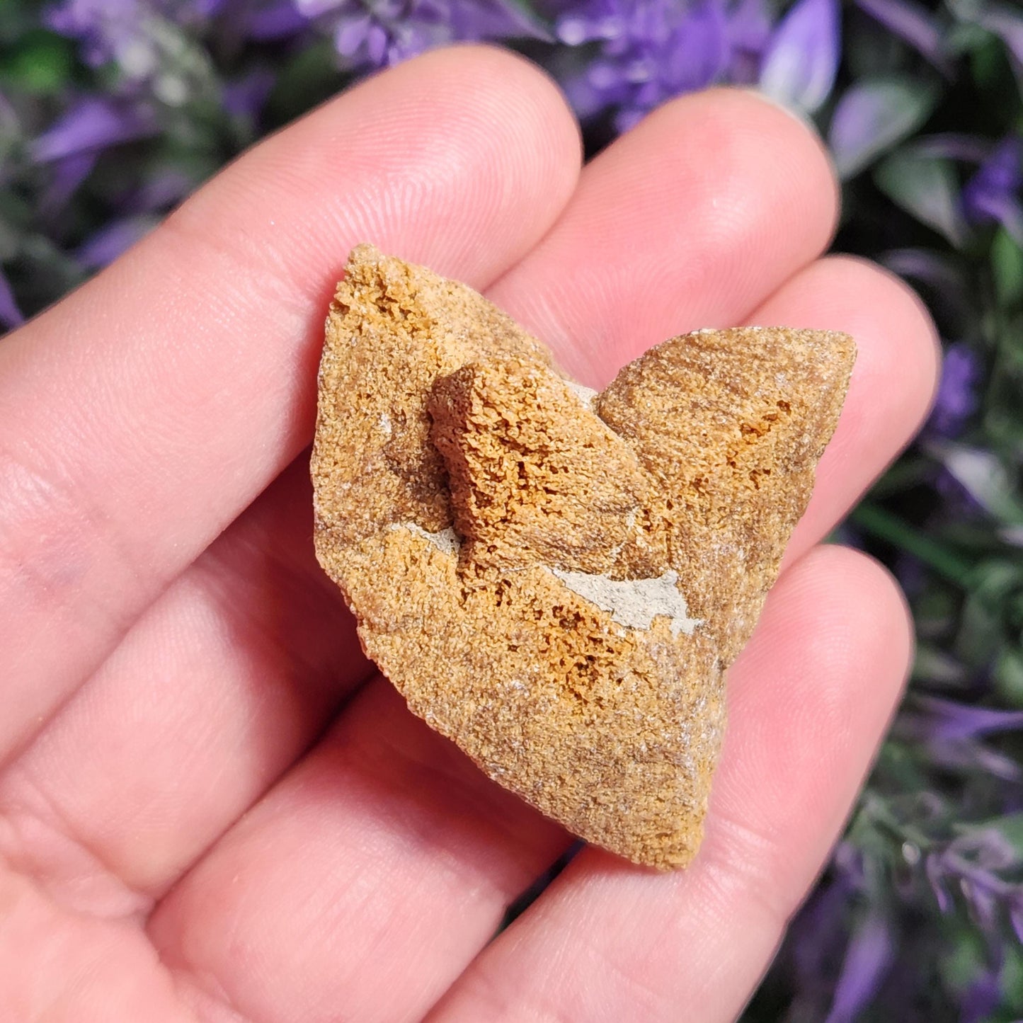 Glendonite Specimen