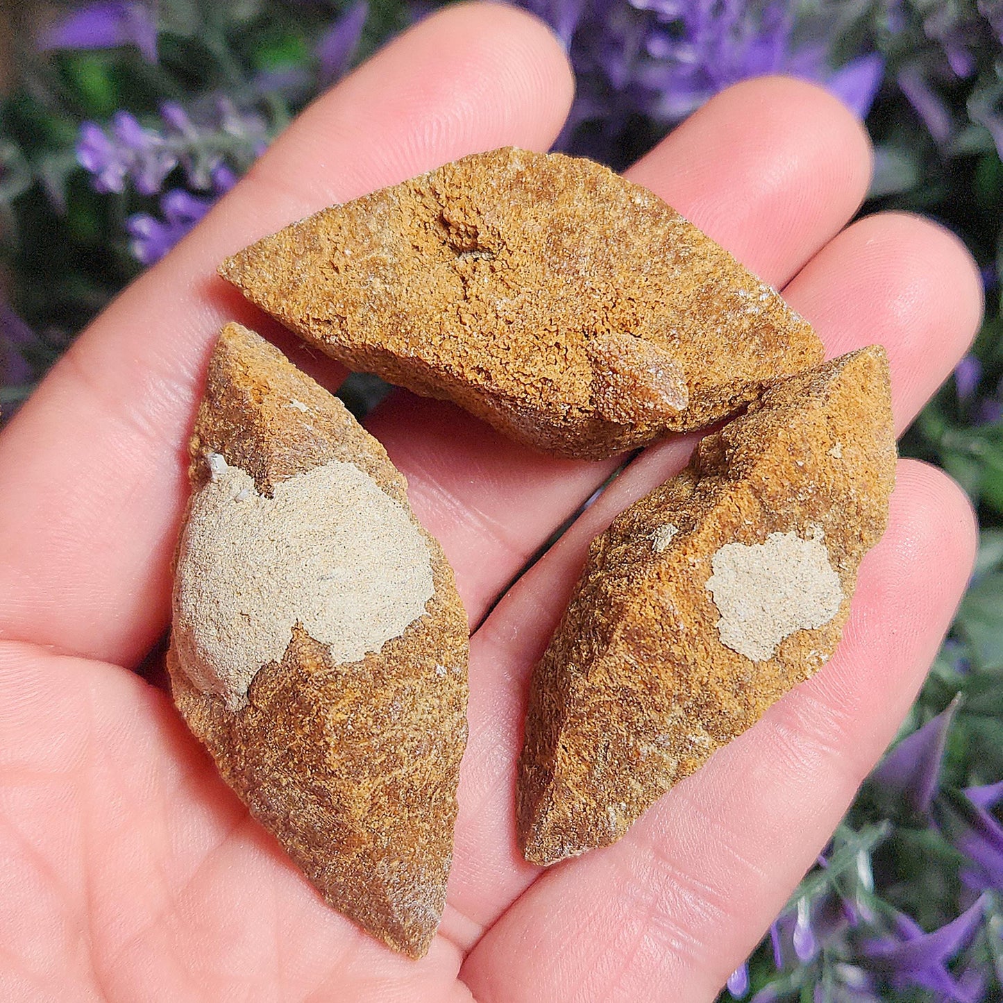 Glendonite Specimen
