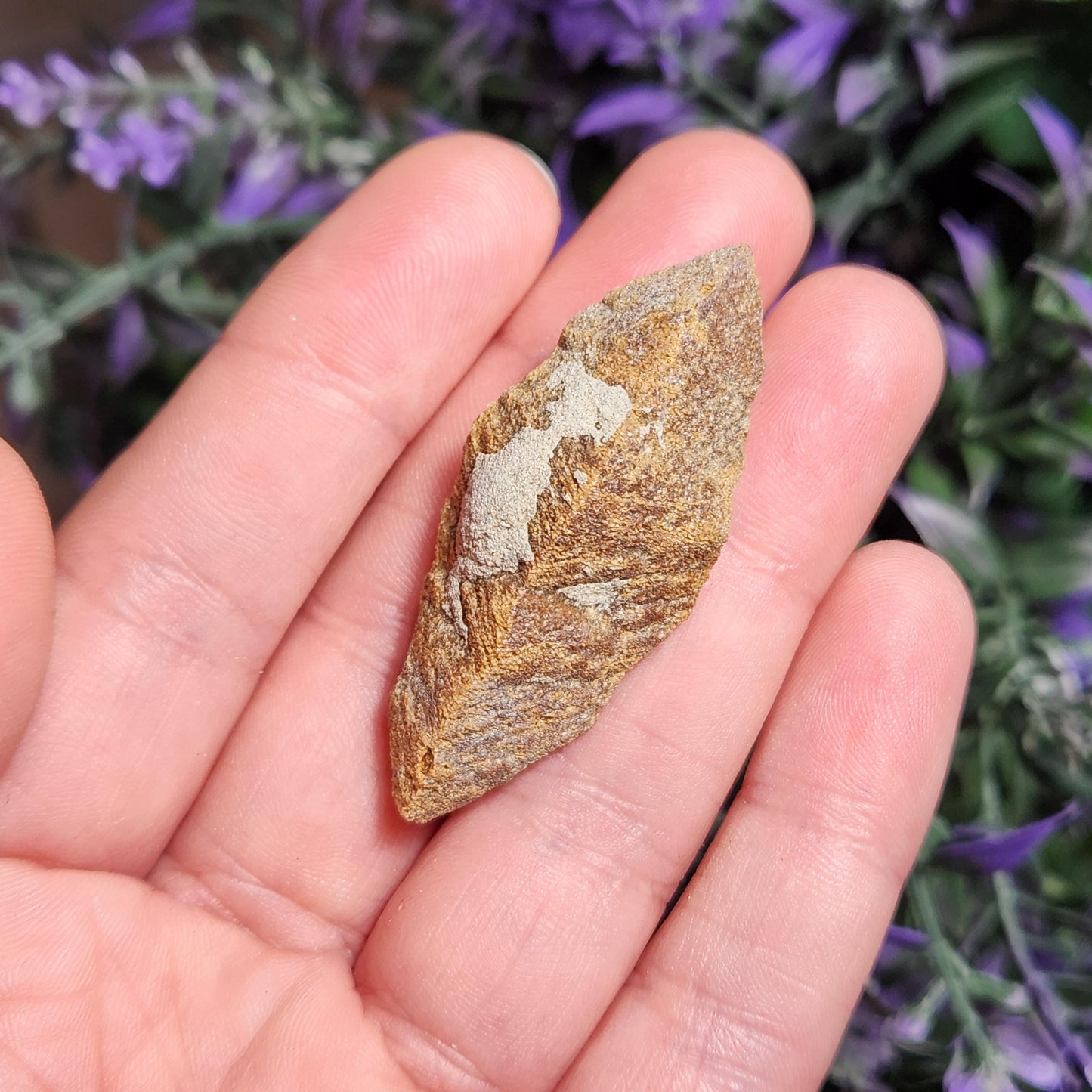 Glendonite Specimen