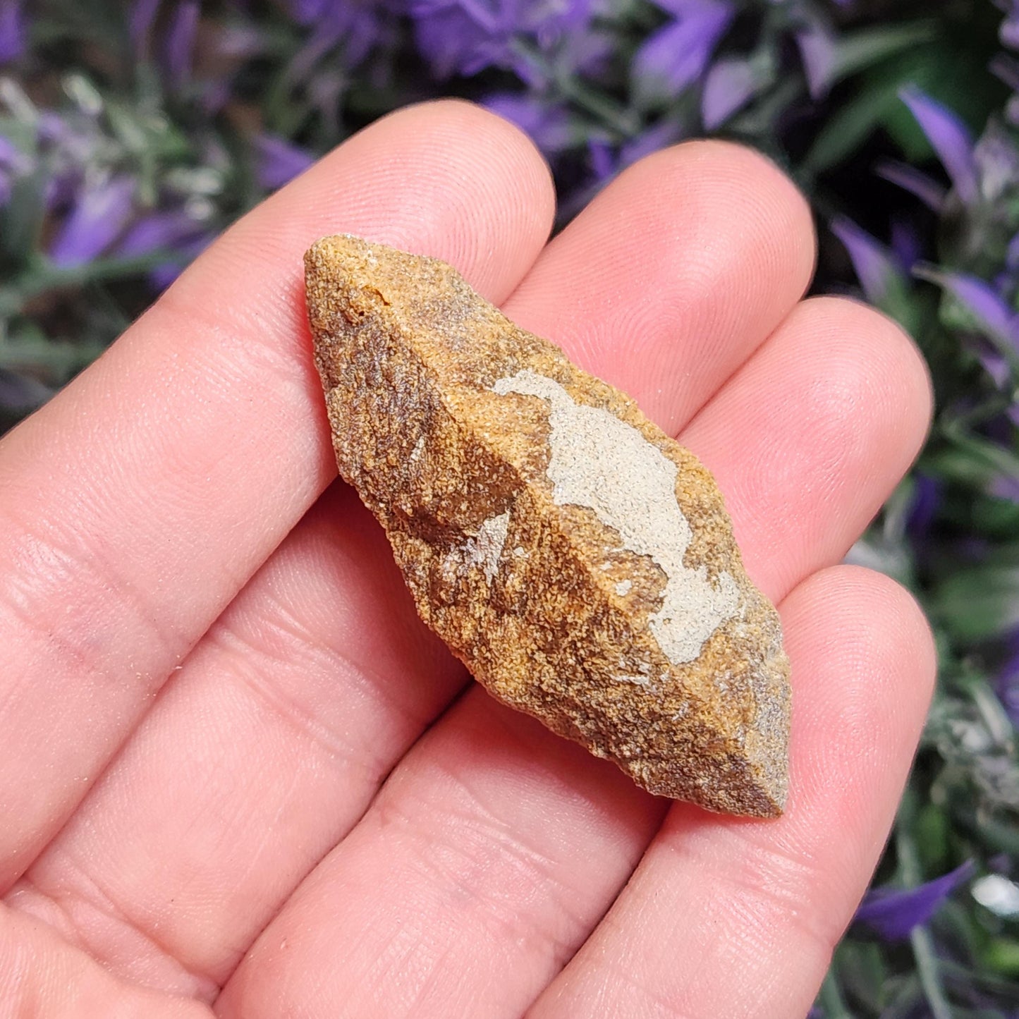 Glendonite Specimen
