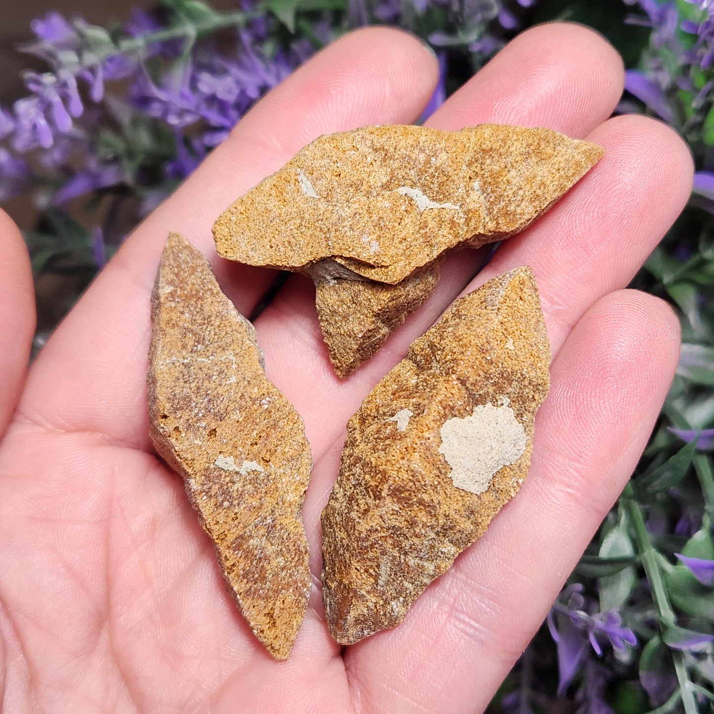 Glendonite Specimen