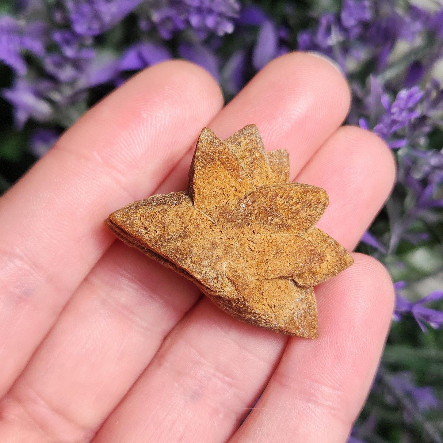 Glendonite Star