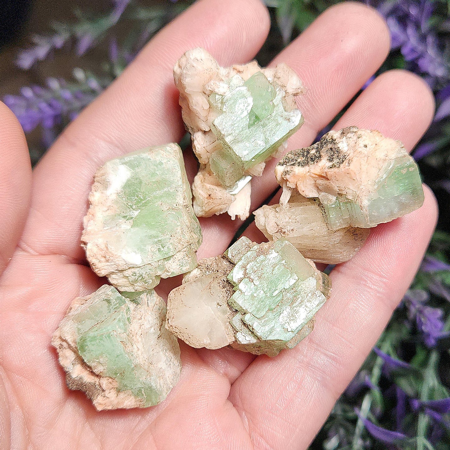 Green Apophyllite Cluster