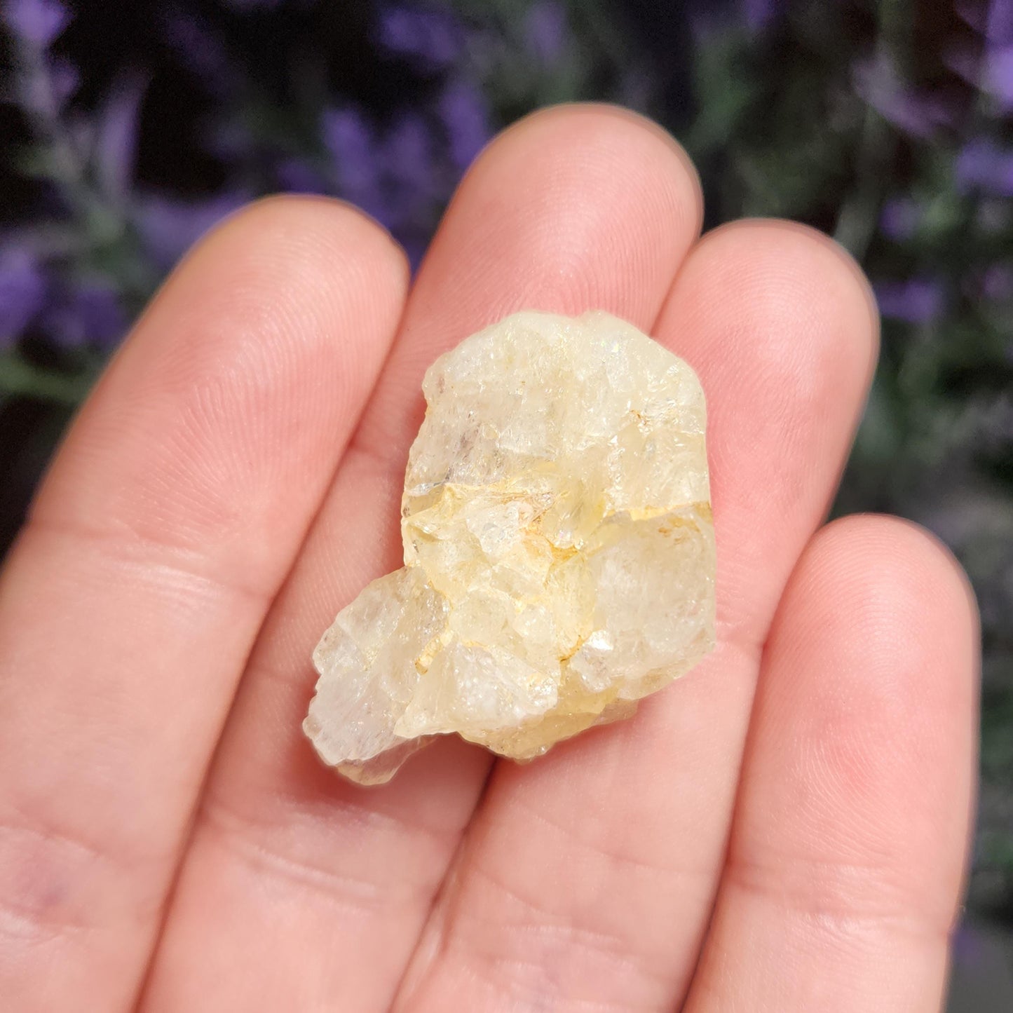 XL Golden Phenacite