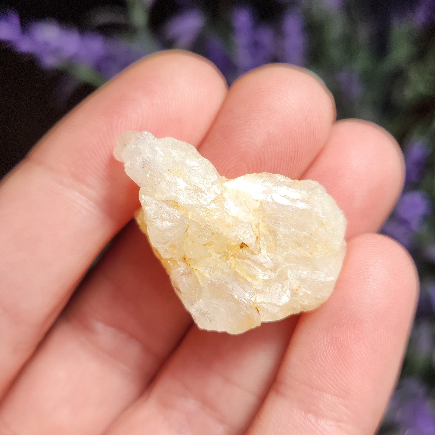 XL Golden Phenacite