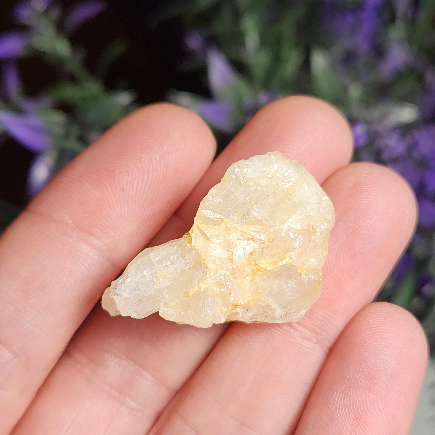 XL Golden Phenacite