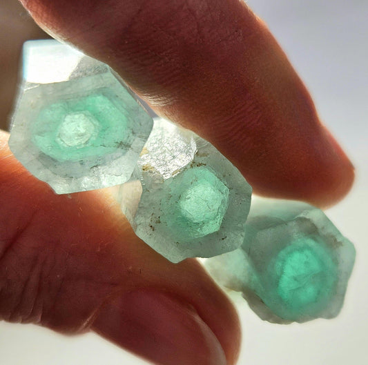 Rare Bicolor Phantom Aquamarine Crystal
