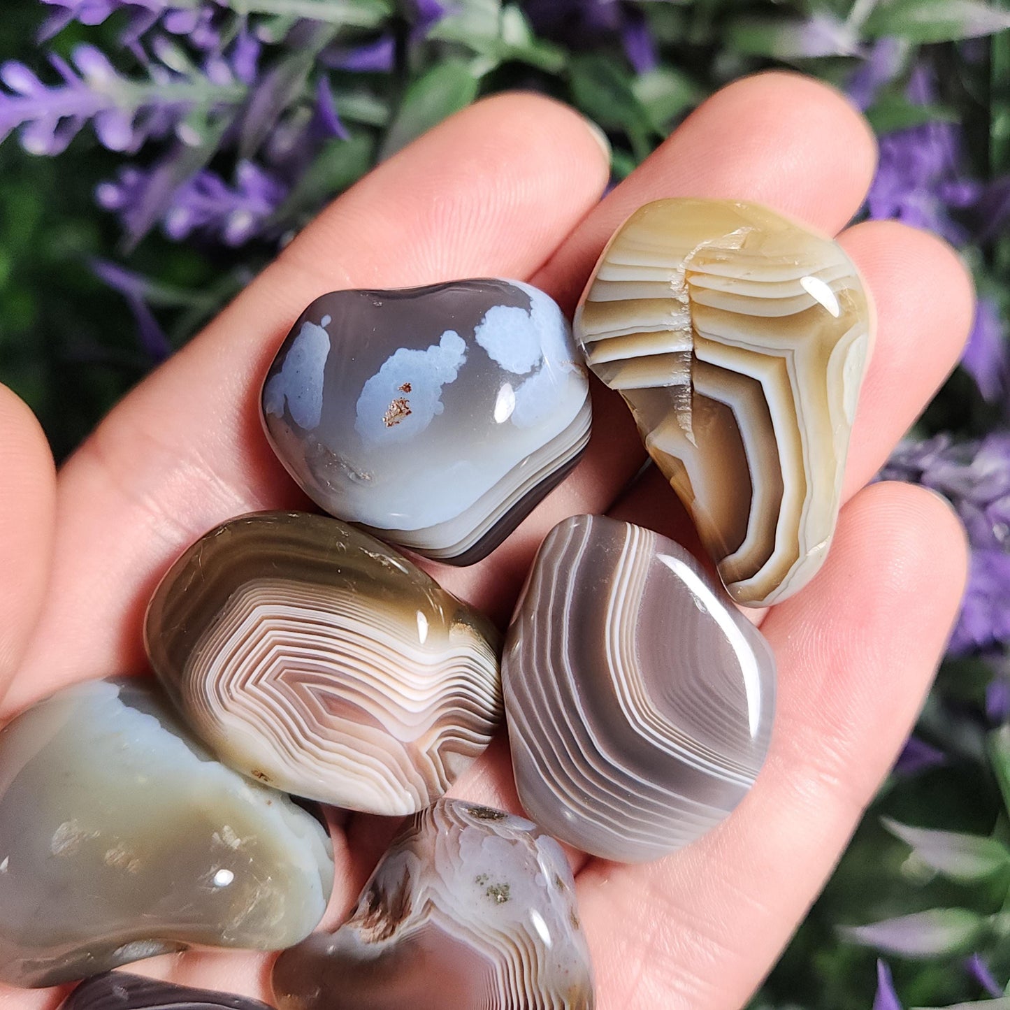 Botswana Agate Crystal