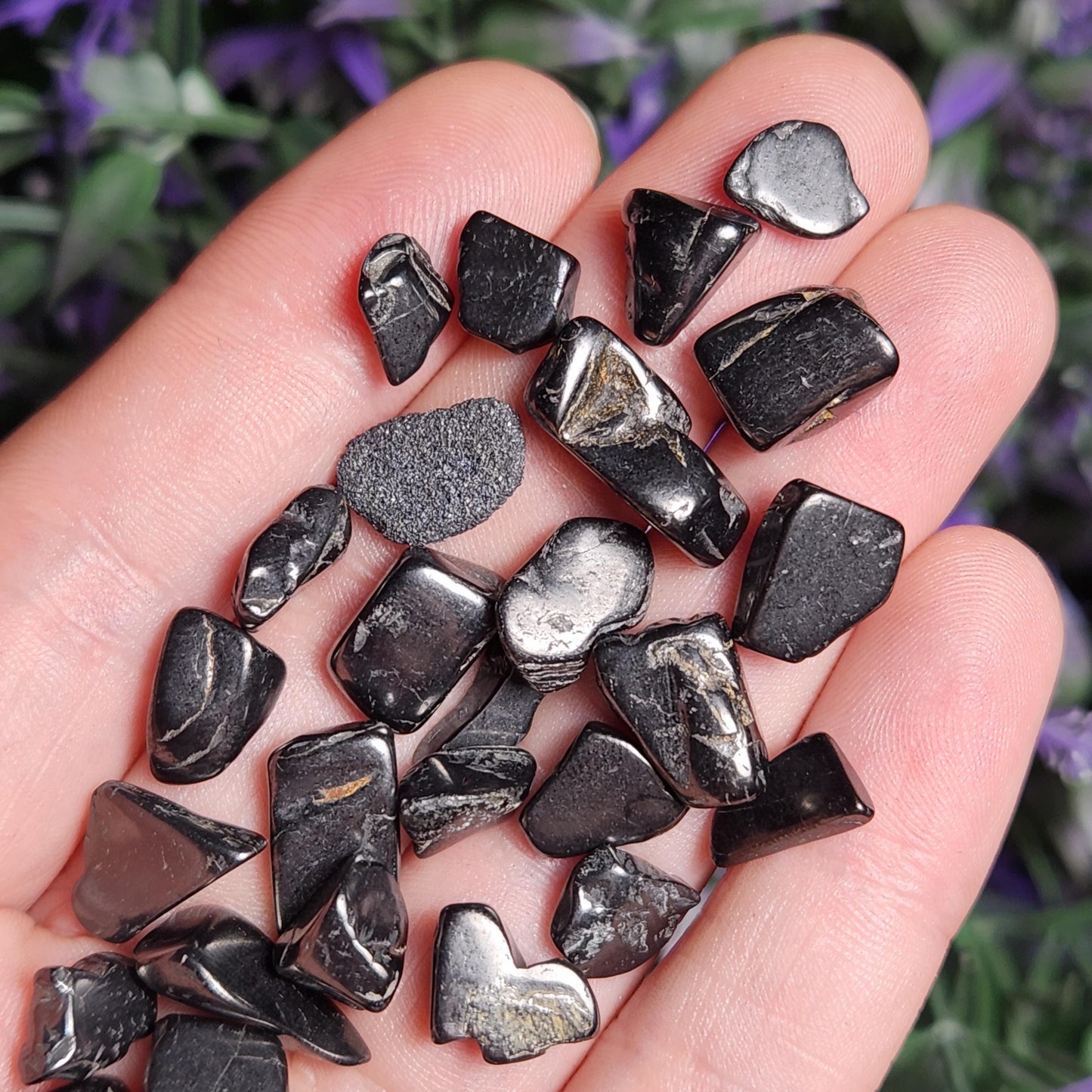 Shungite Crystal Chips