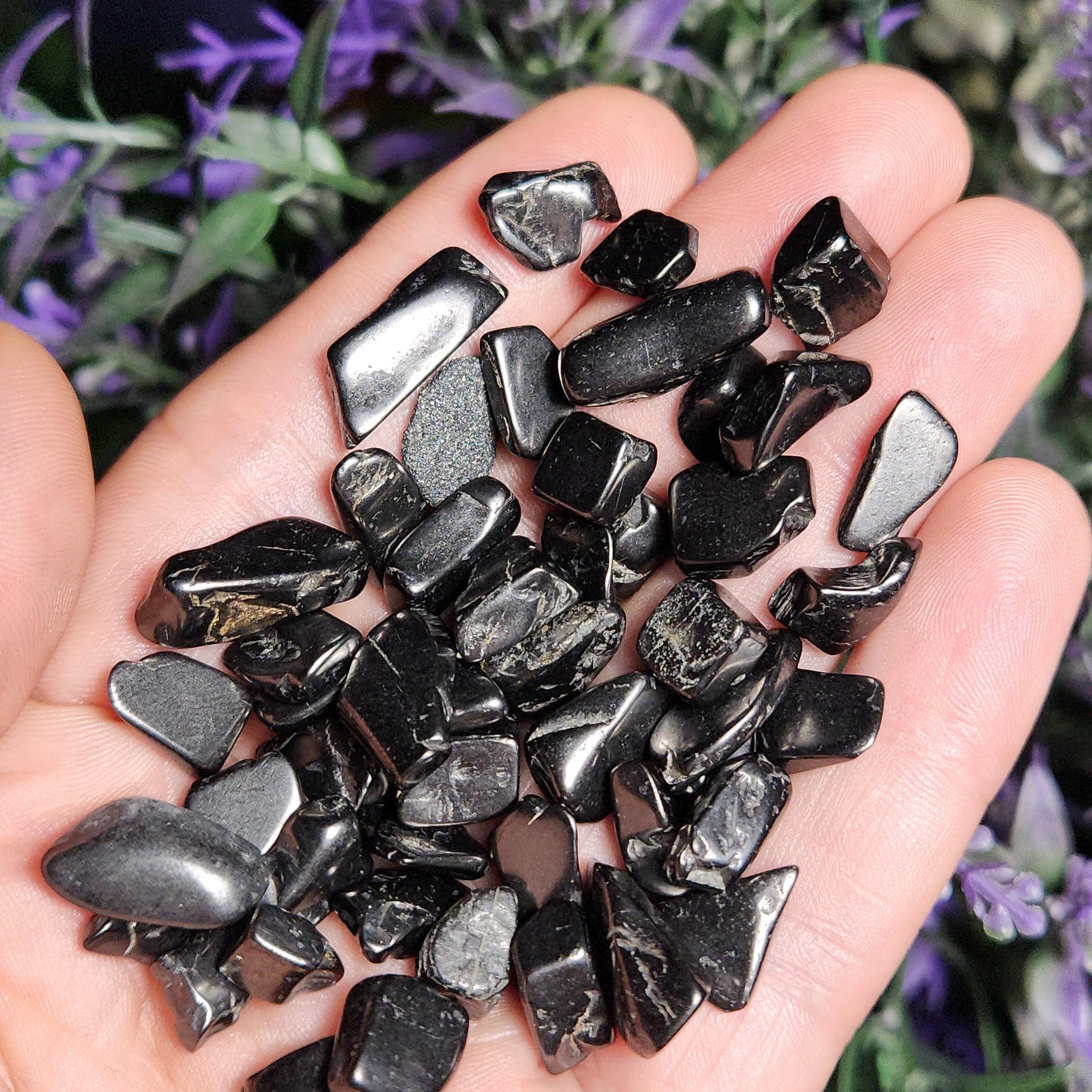 Shungite Crystal Chips