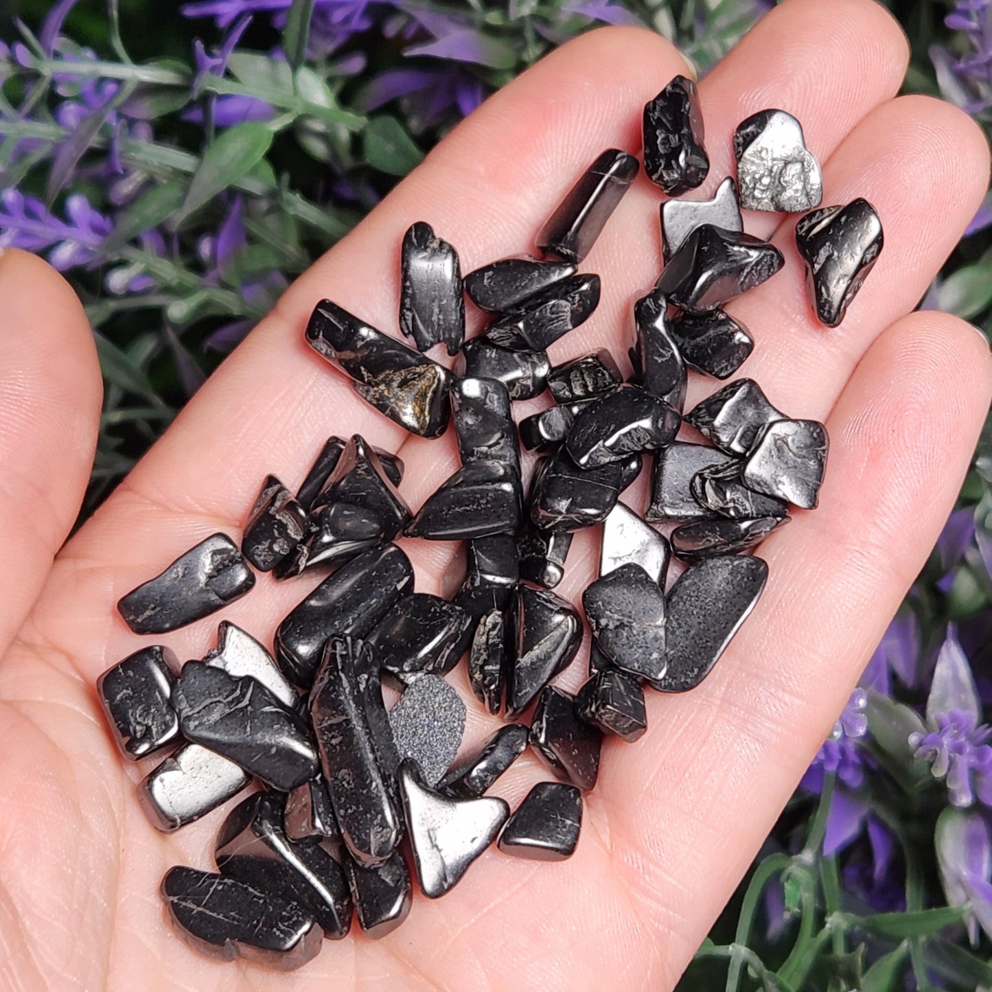 Shungite Crystal Chips
