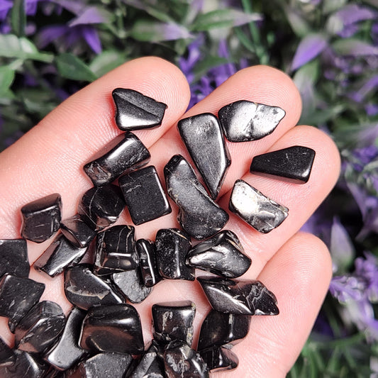Shungite Crystal Chips