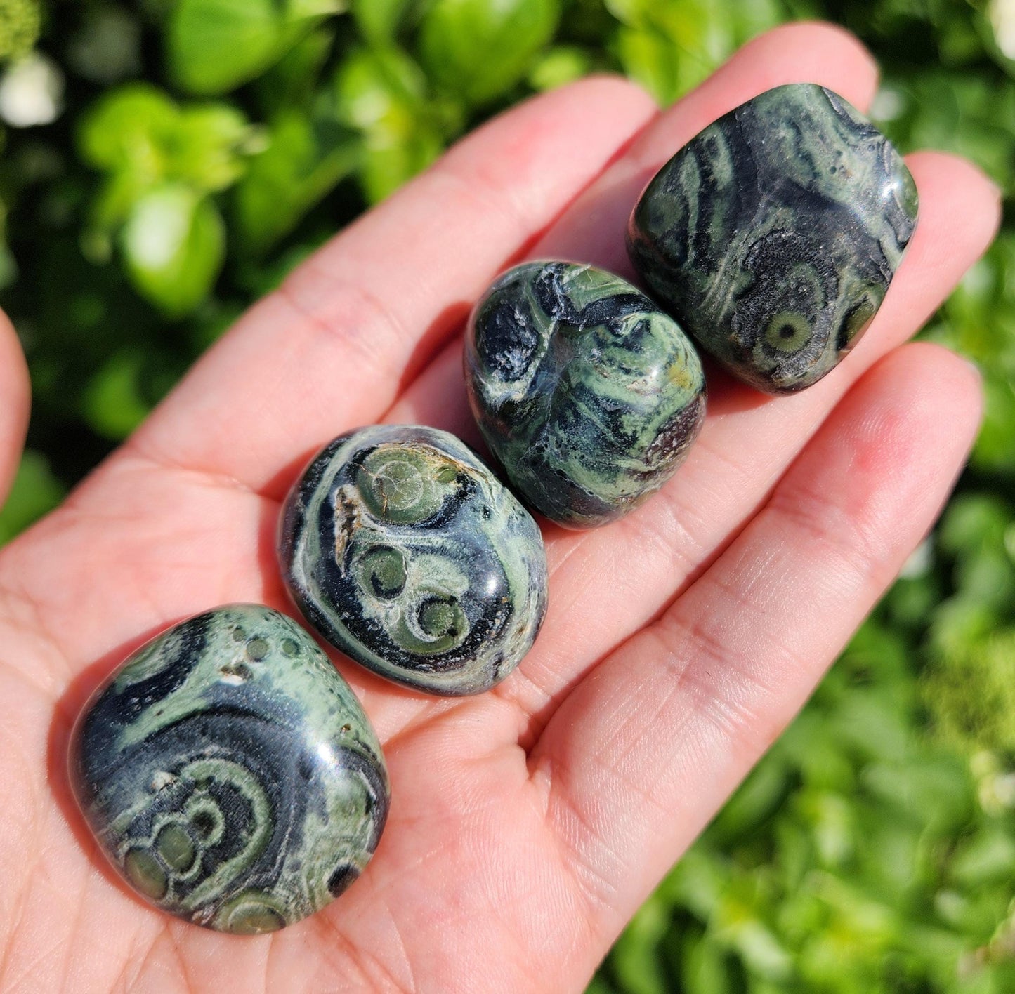 Kambaba Jasper Stone