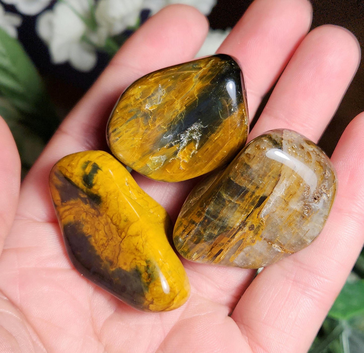 Pietersite & Tiger's Eye