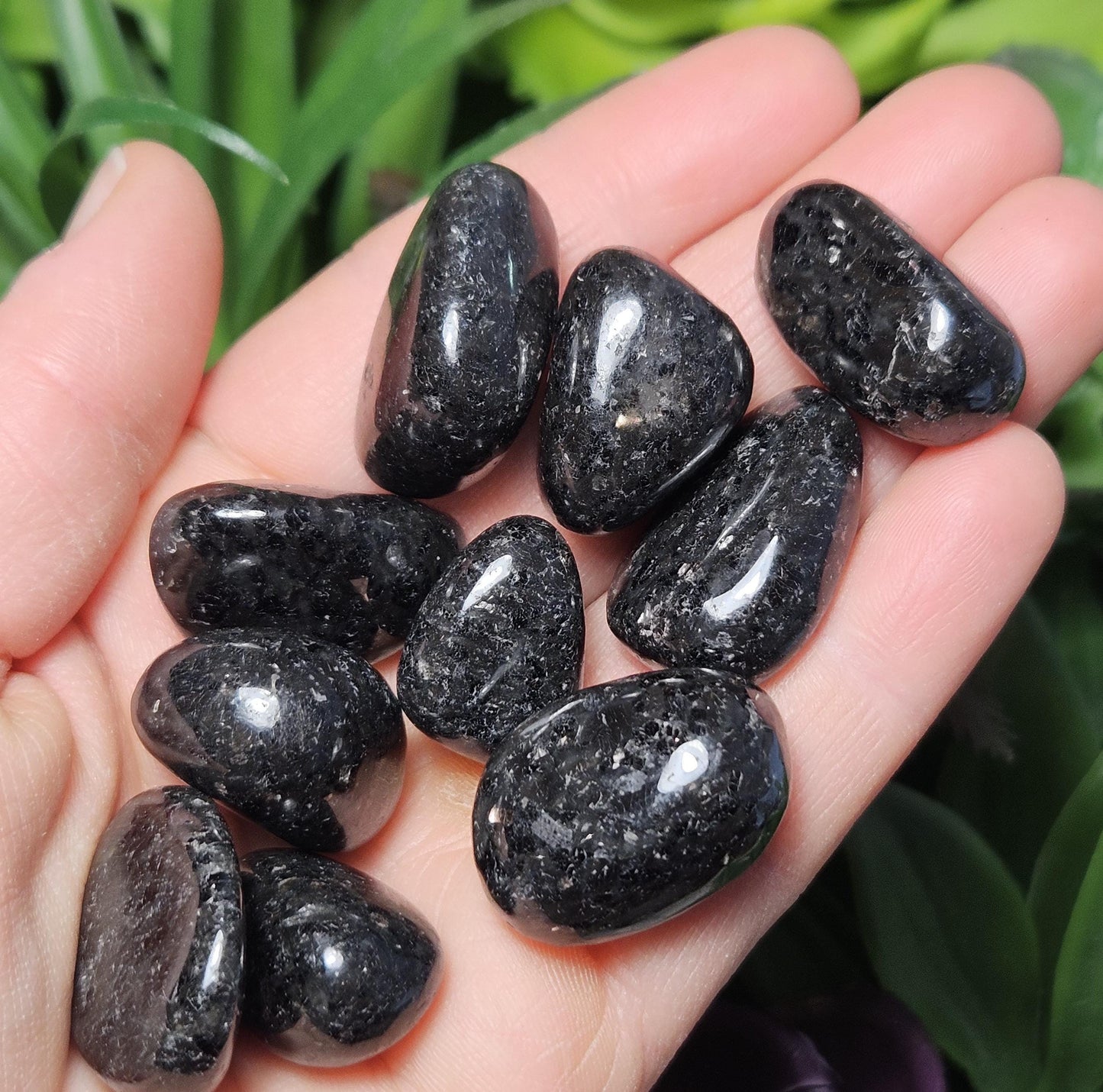 Nuummite Crystal