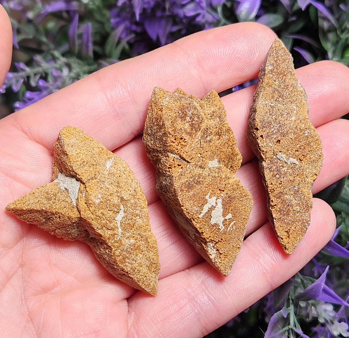 Glendonite Specimen