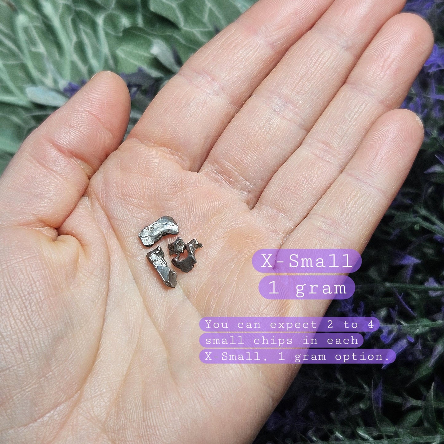Campo Del Cielo Meteorite