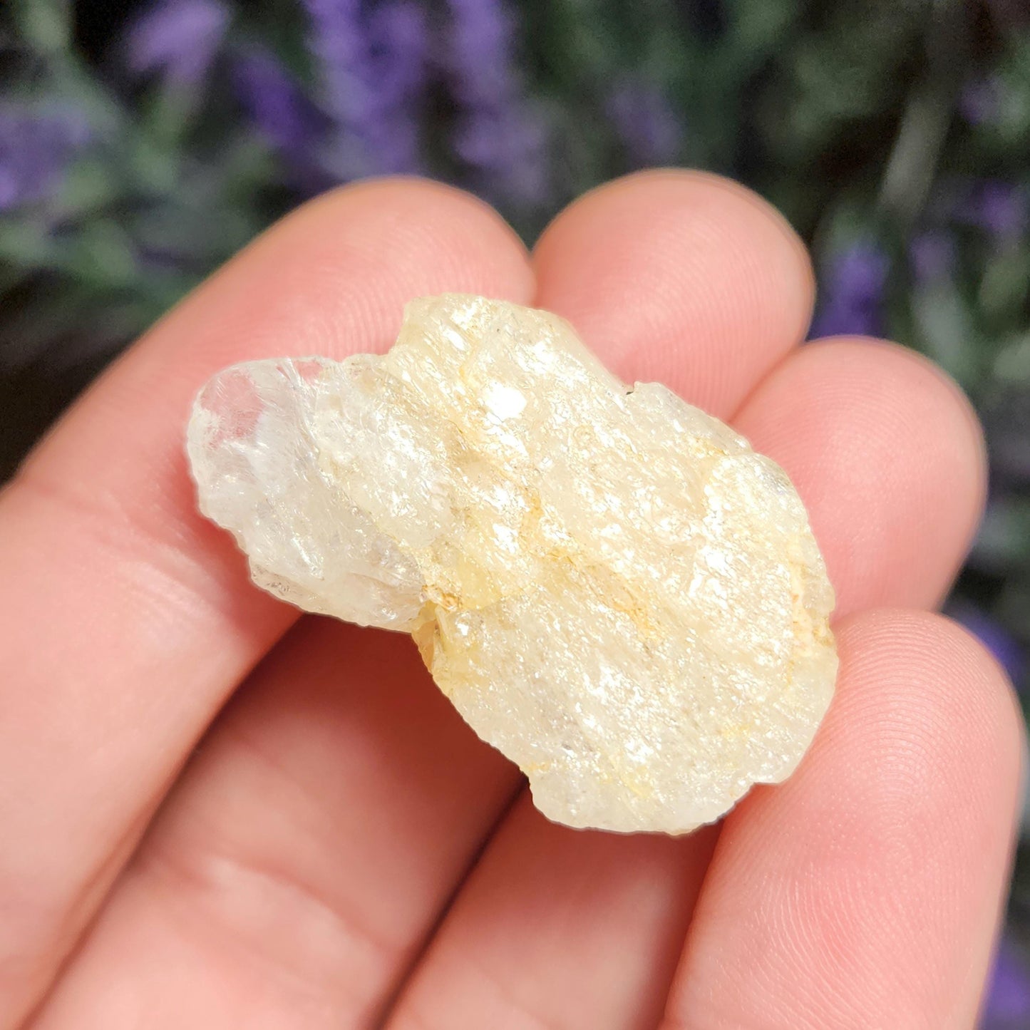 XL Golden Phenacite