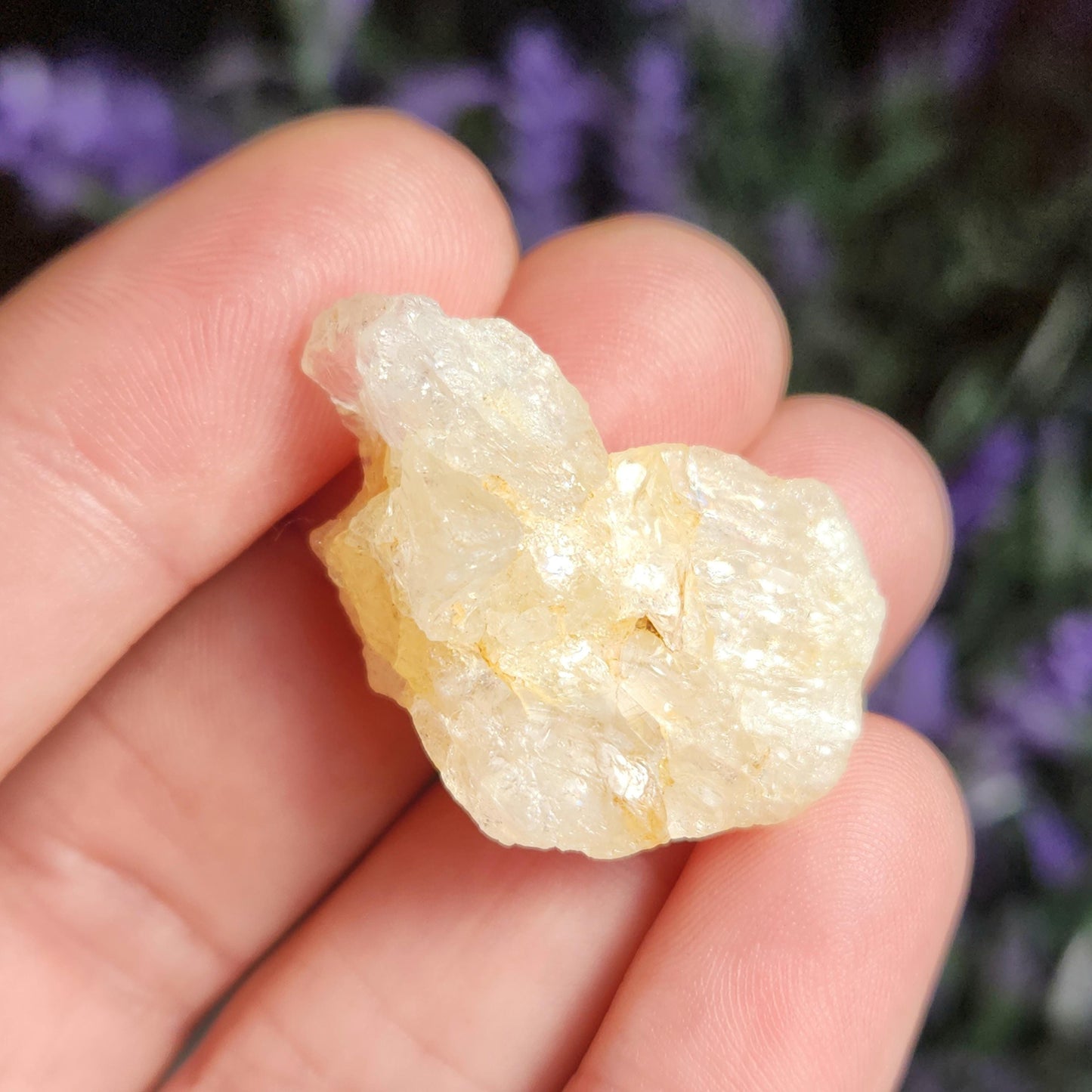 XL Golden Phenacite