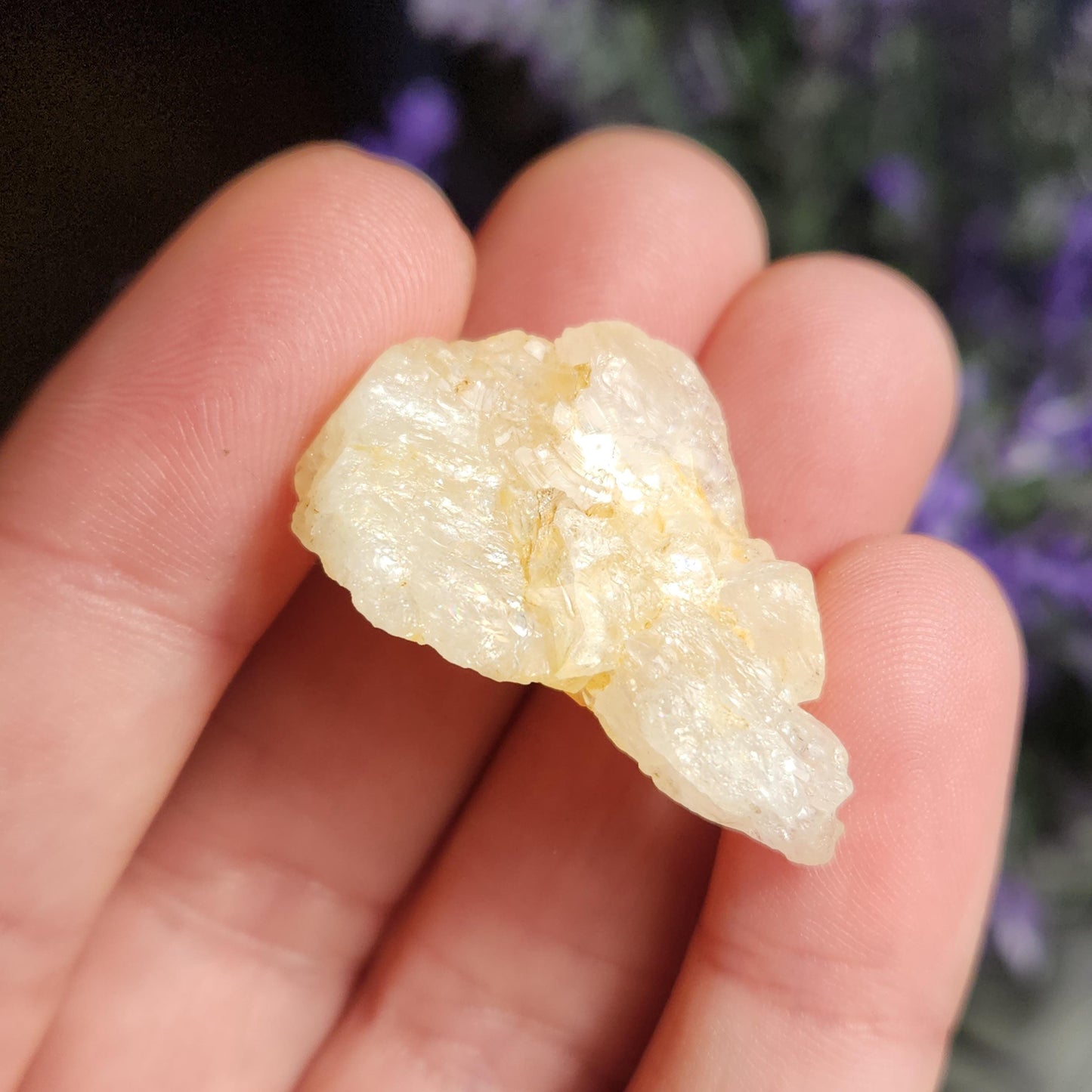 XL Golden Phenacite