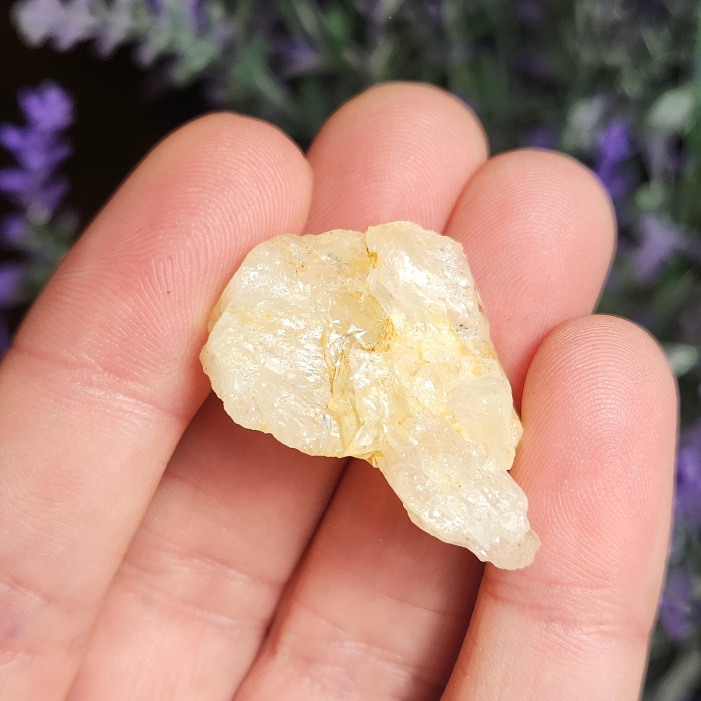 XL Golden Phenacite