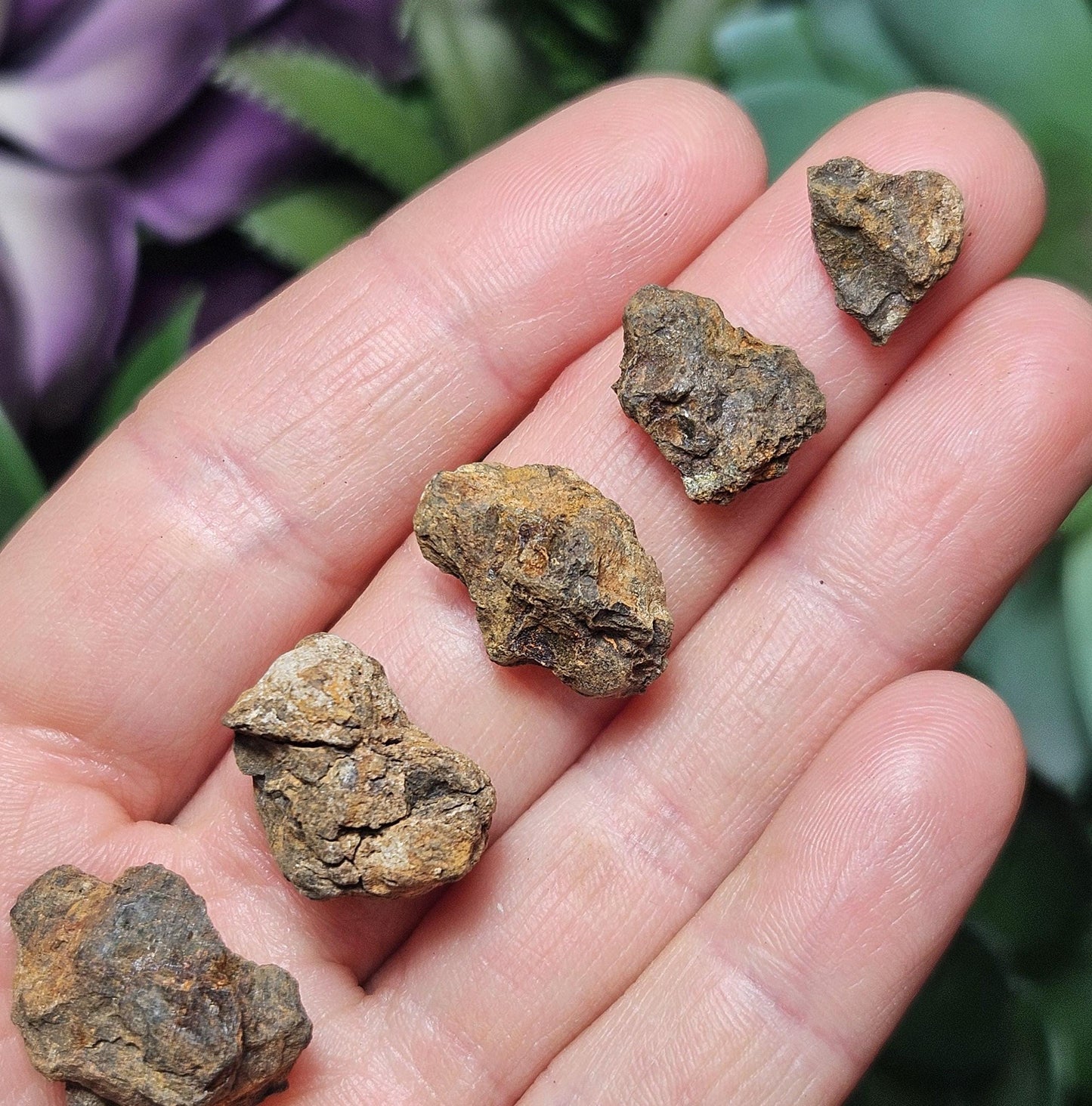 Kenyan Meteorite Specimen