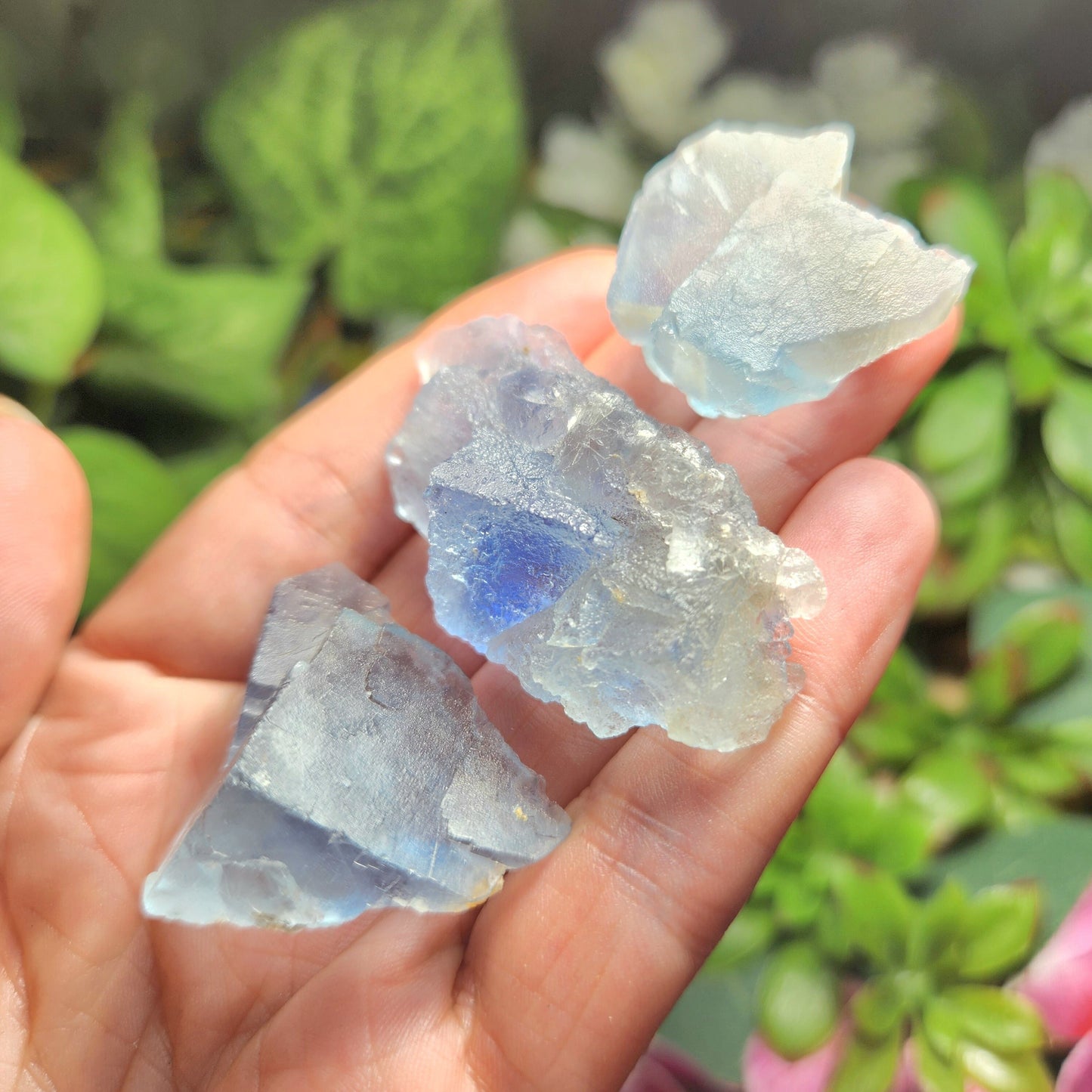 Cubic Blue Fluorite