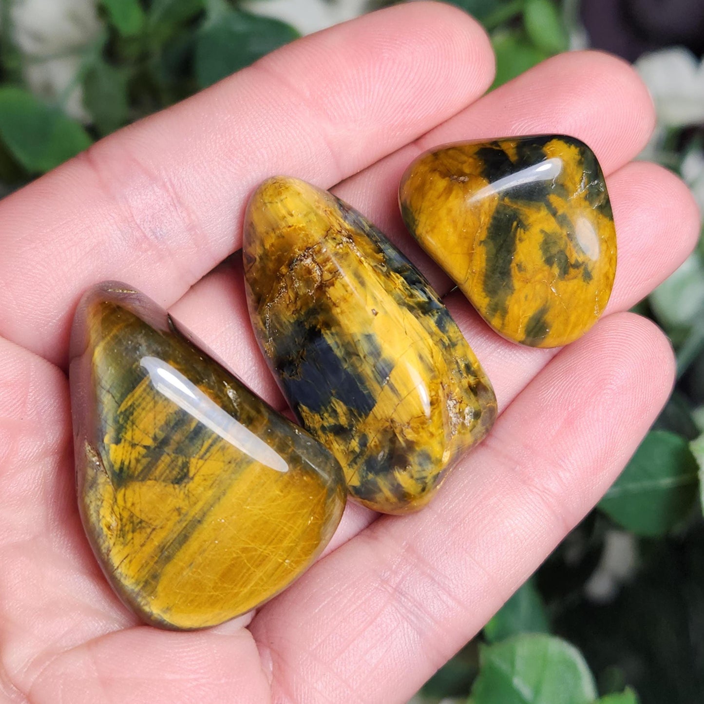 Pietersite & Tiger's Eye