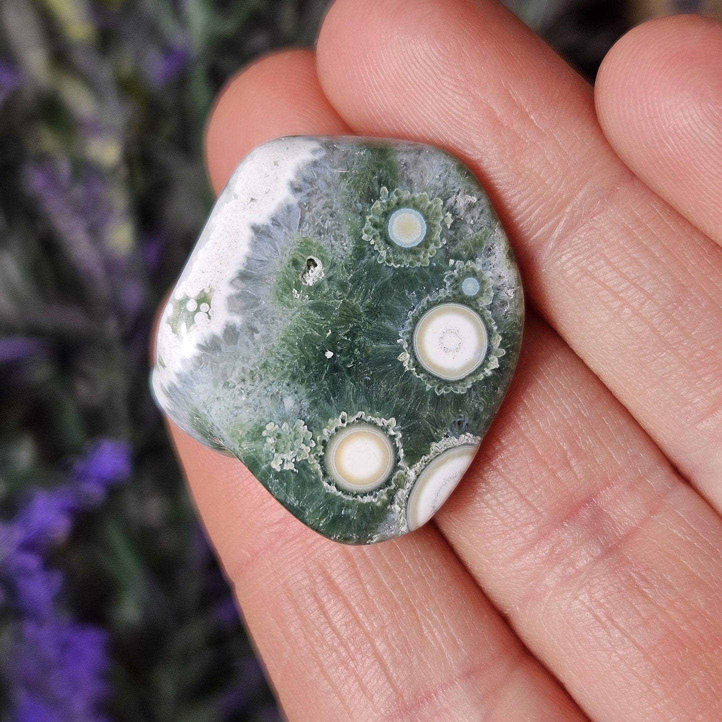 VEIN 8 Ocean Jasper