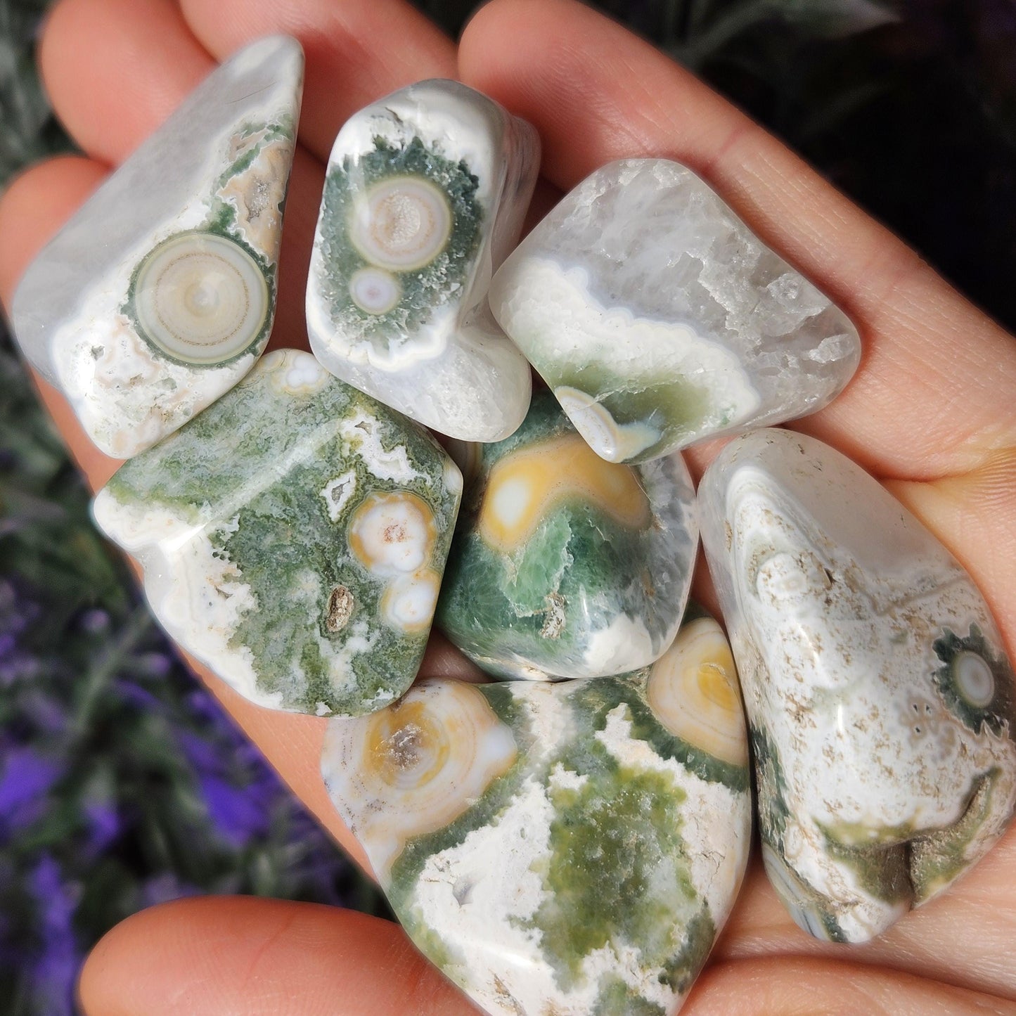 VEIN 8 Ocean Jasper