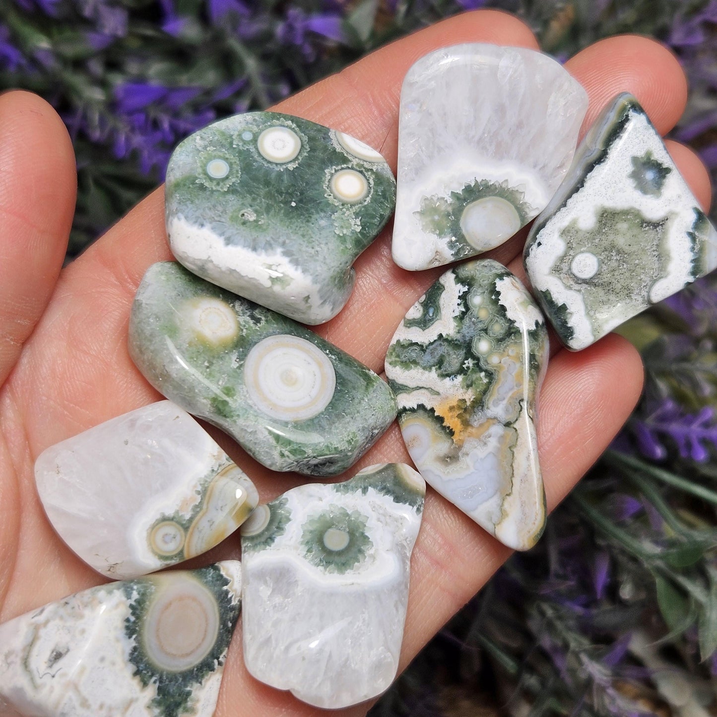 VEIN 8 Ocean Jasper