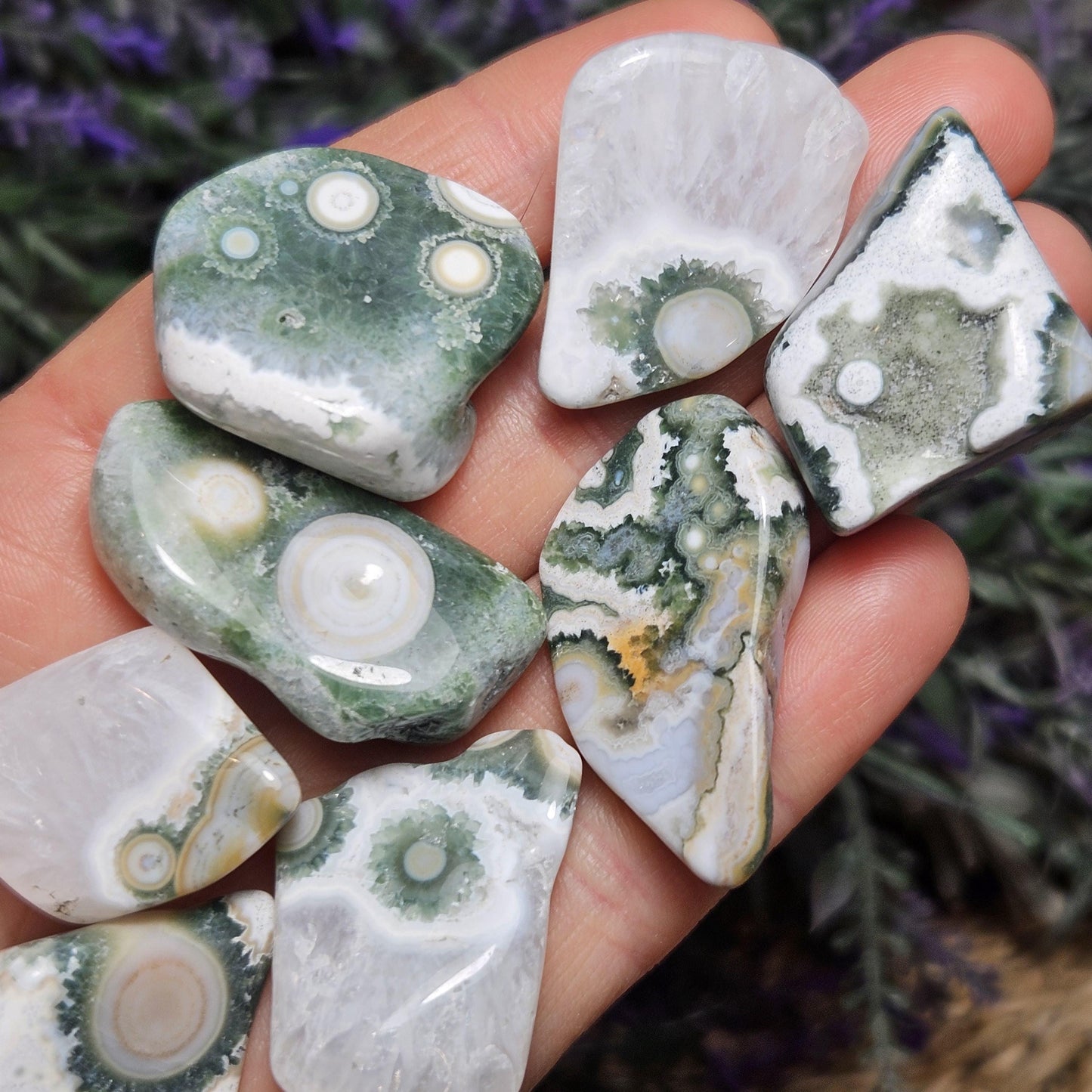 VEIN 8 Ocean Jasper