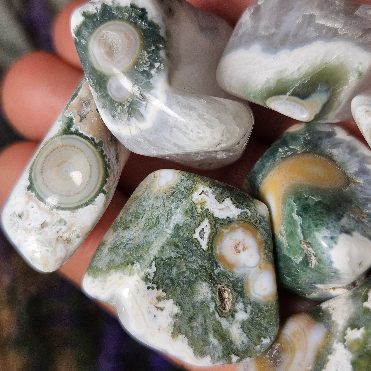 VEIN 8 Ocean Jasper