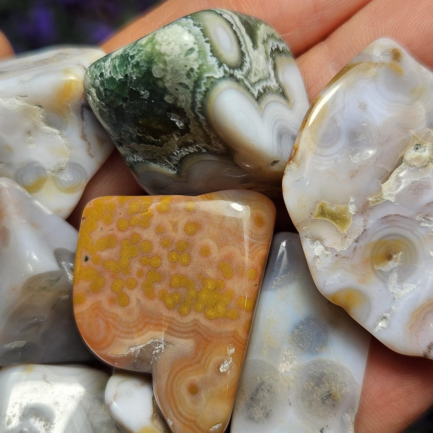 Orbicular Ocean Jasper / Ocean Jasper / Ocean Jasper Palm / Ocean Jasper Crystal / Ocean Jasper Stone / Natural Ocean Jasper / Jasper Palm