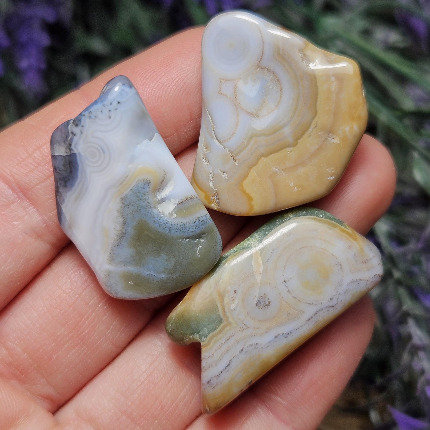 Orbicular Ocean Jasper / Ocean Jasper / Ocean Jasper Palm / Ocean Jasper Crystal / Ocean Jasper Stone / Natural Ocean Jasper / Jasper Palm