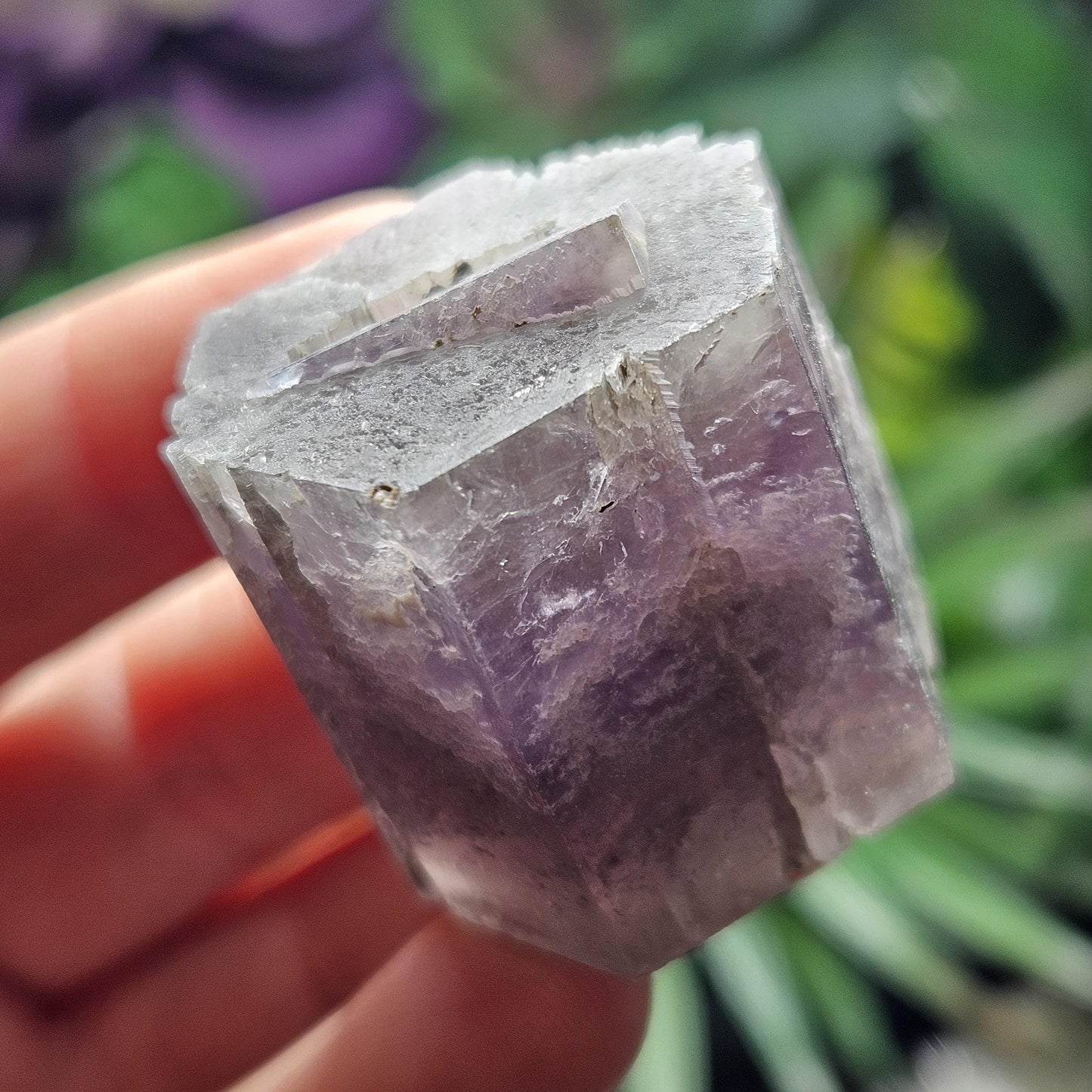 Purple Aragonite