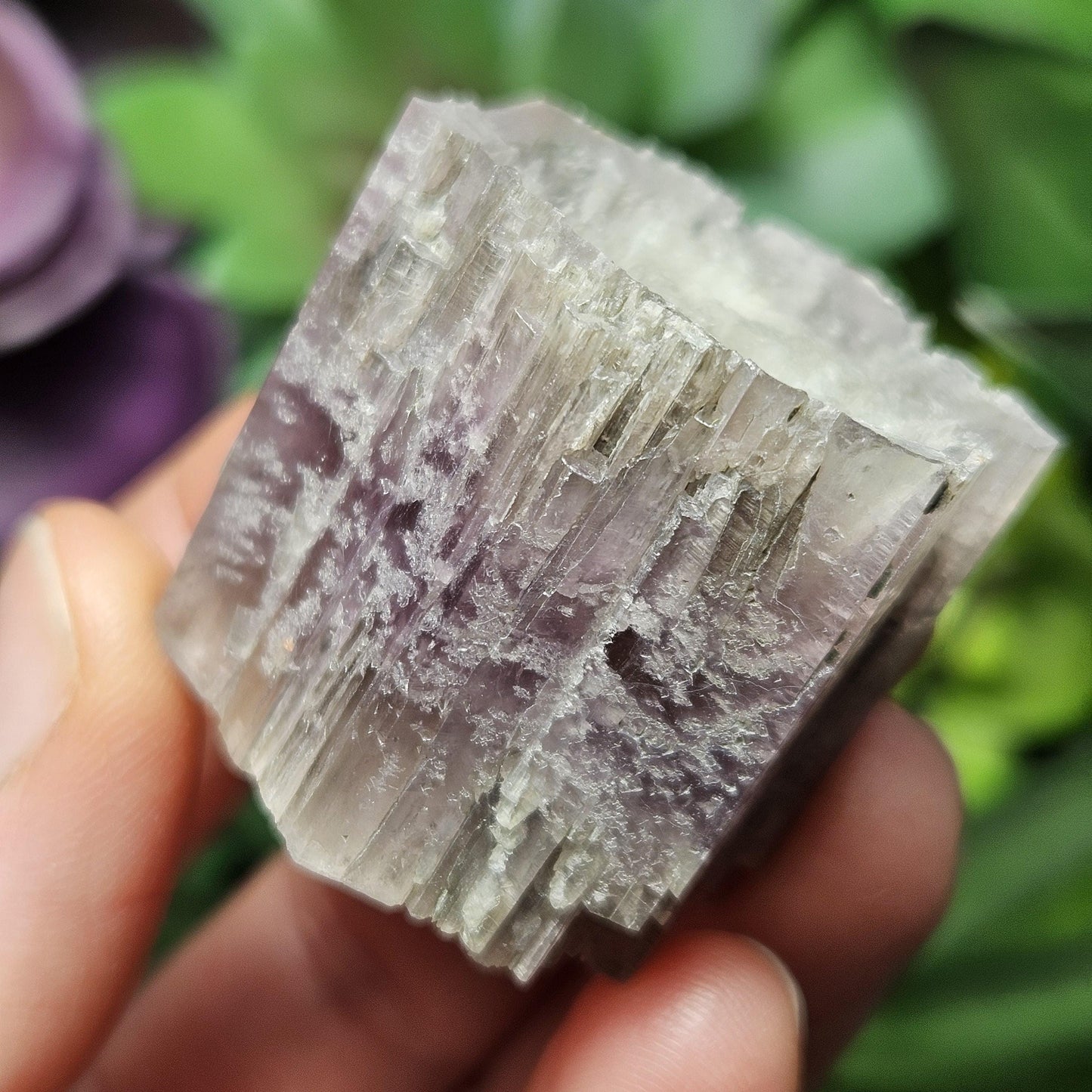 Purple Aragonite