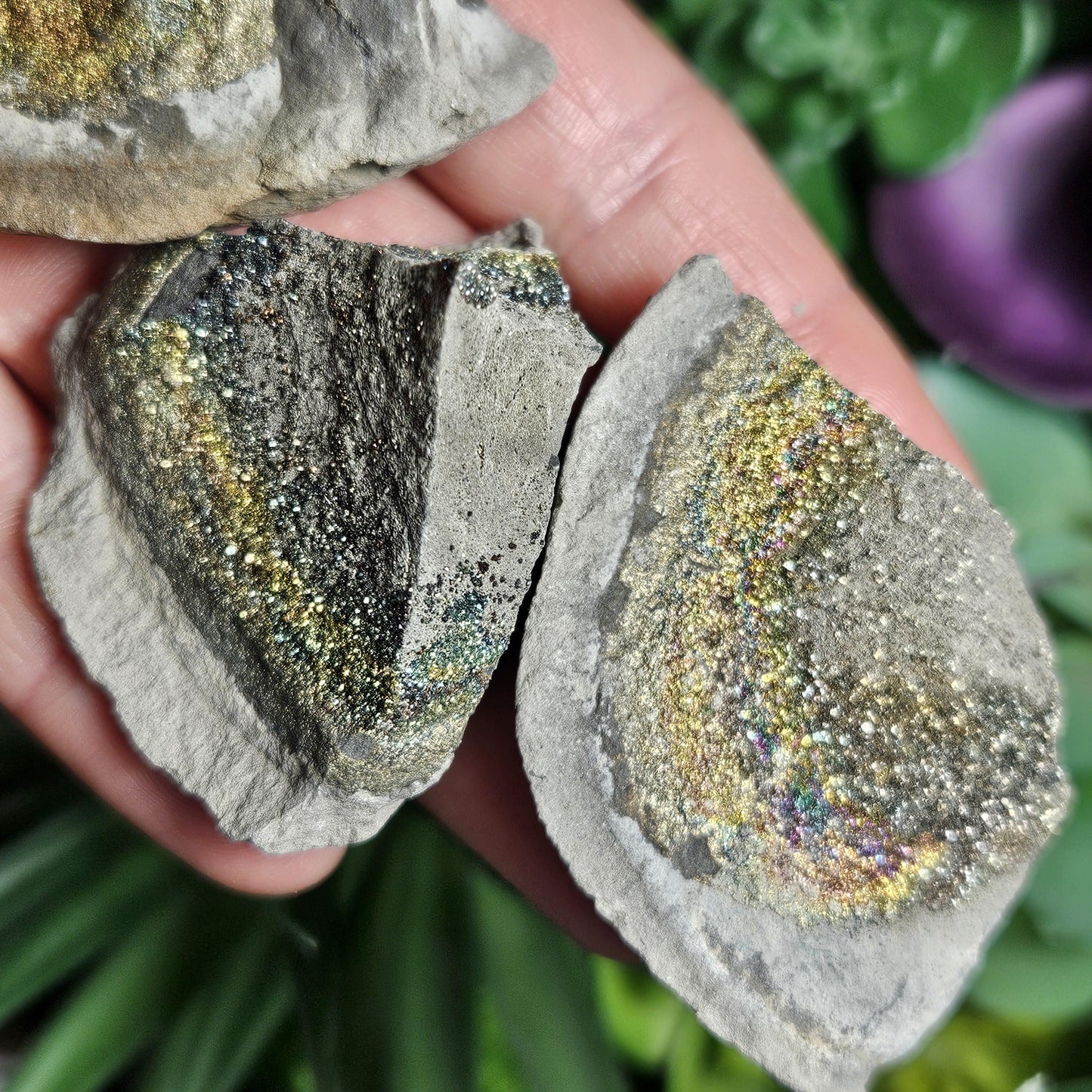 Rainbow Pyrite Specimen