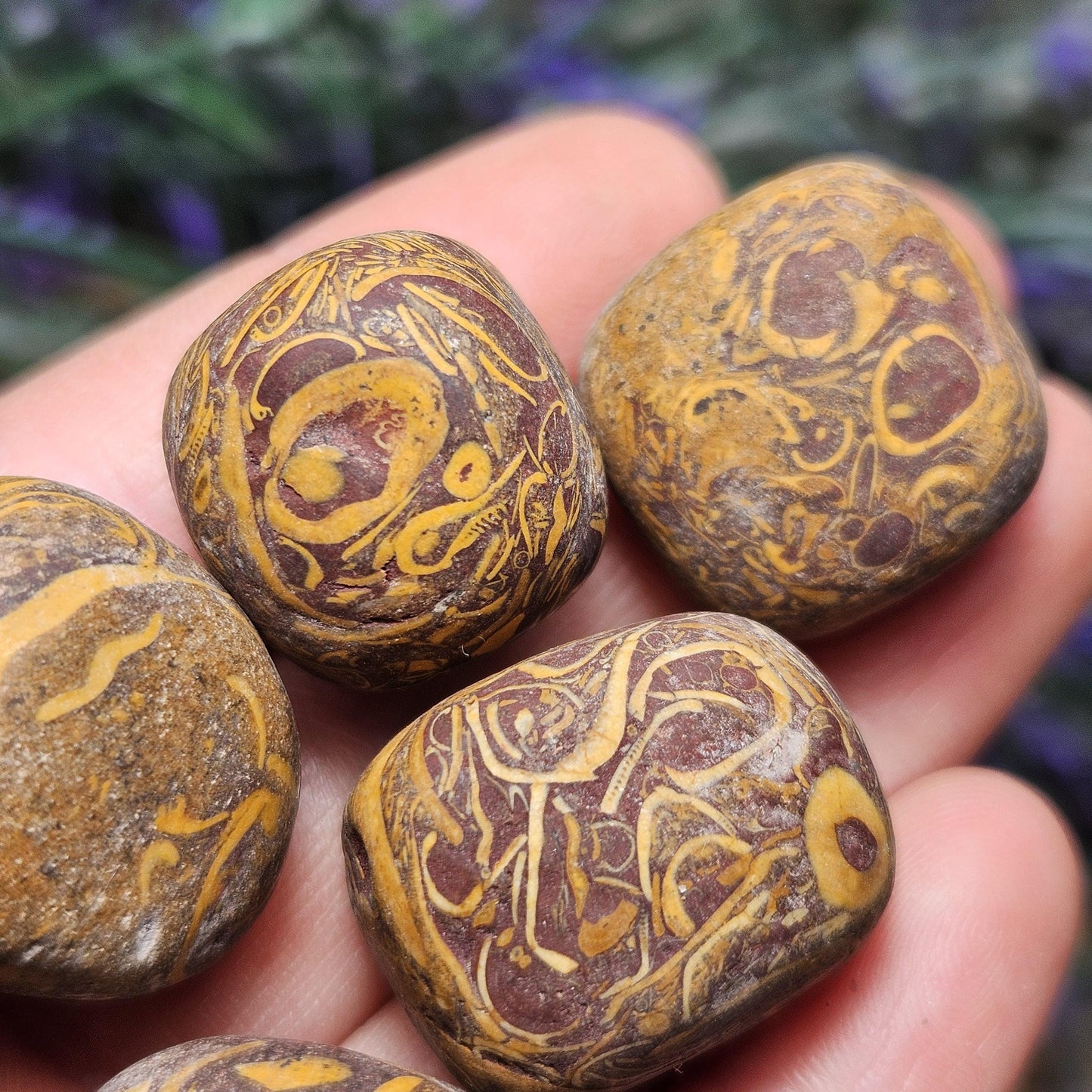 Sanskrit Stone