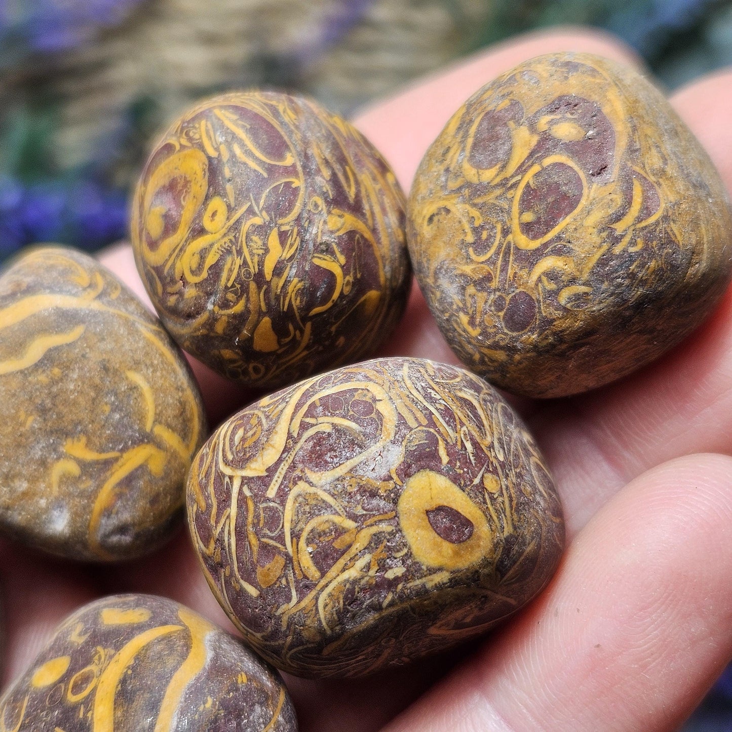 Sanskrit Stone