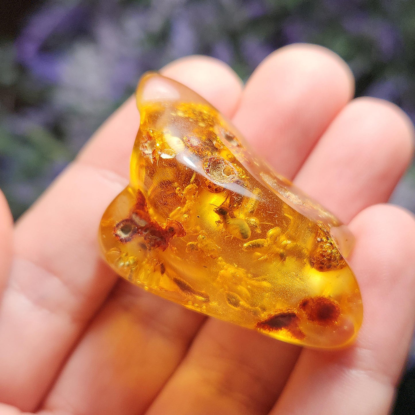 MOVING Enhydro AMBER with Bugs