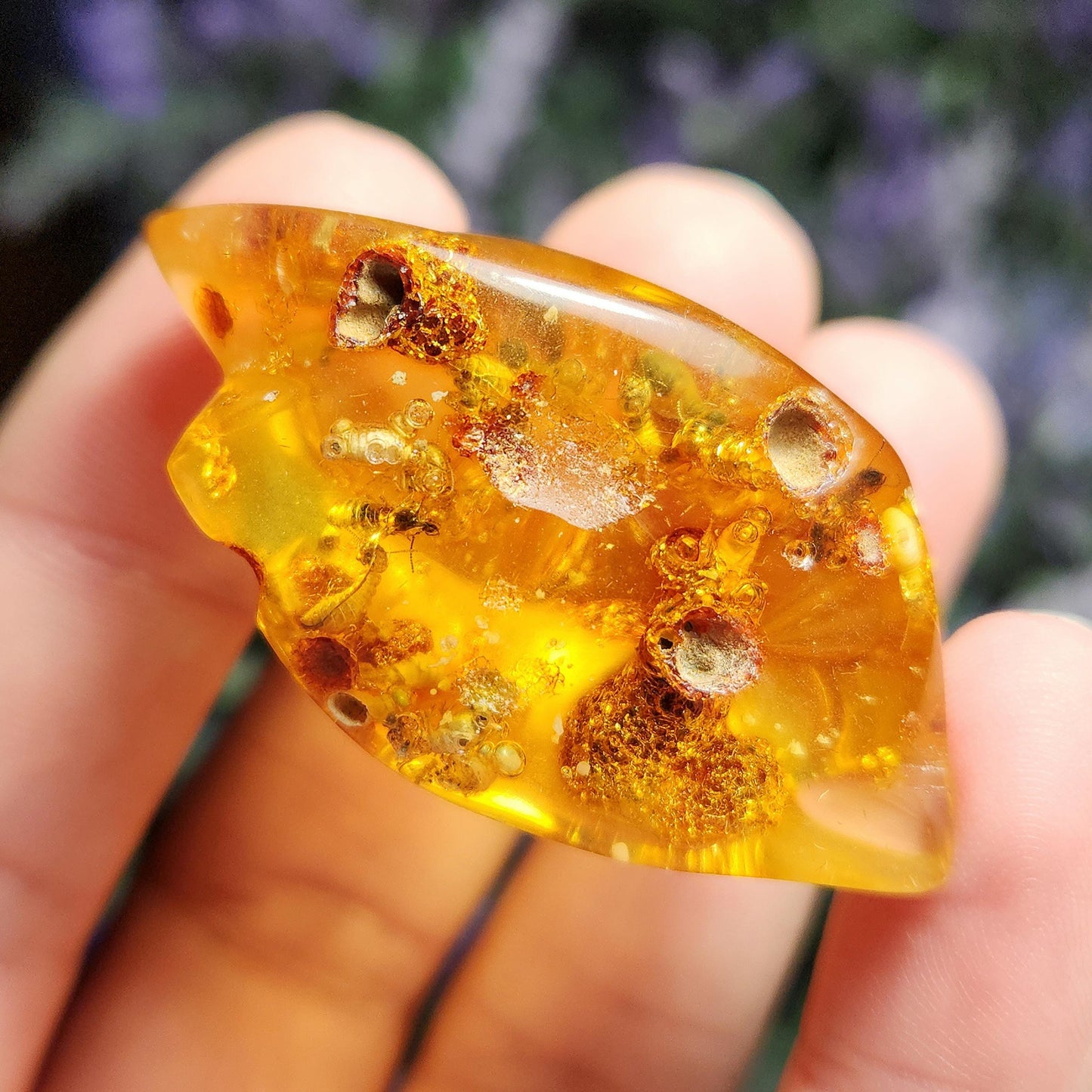 MOVING Enhydro AMBER with Bugs
